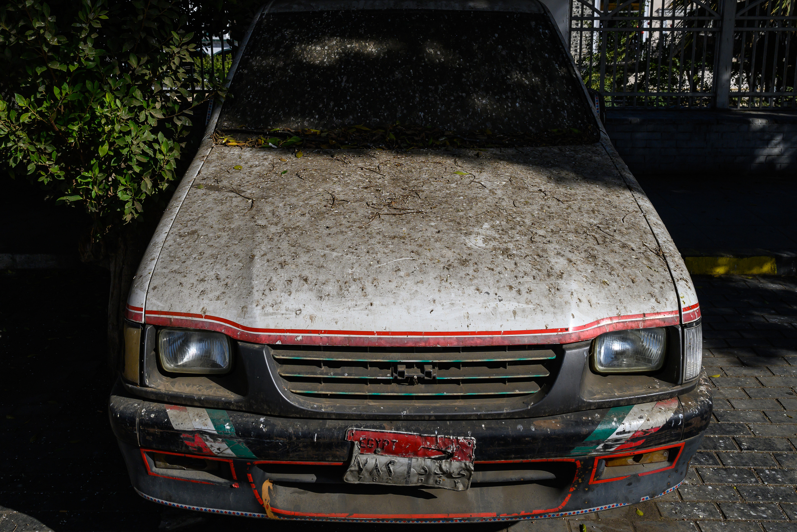 Dimitri Bakhtadze, Cairo. Dimitri Bakhtadze photographer