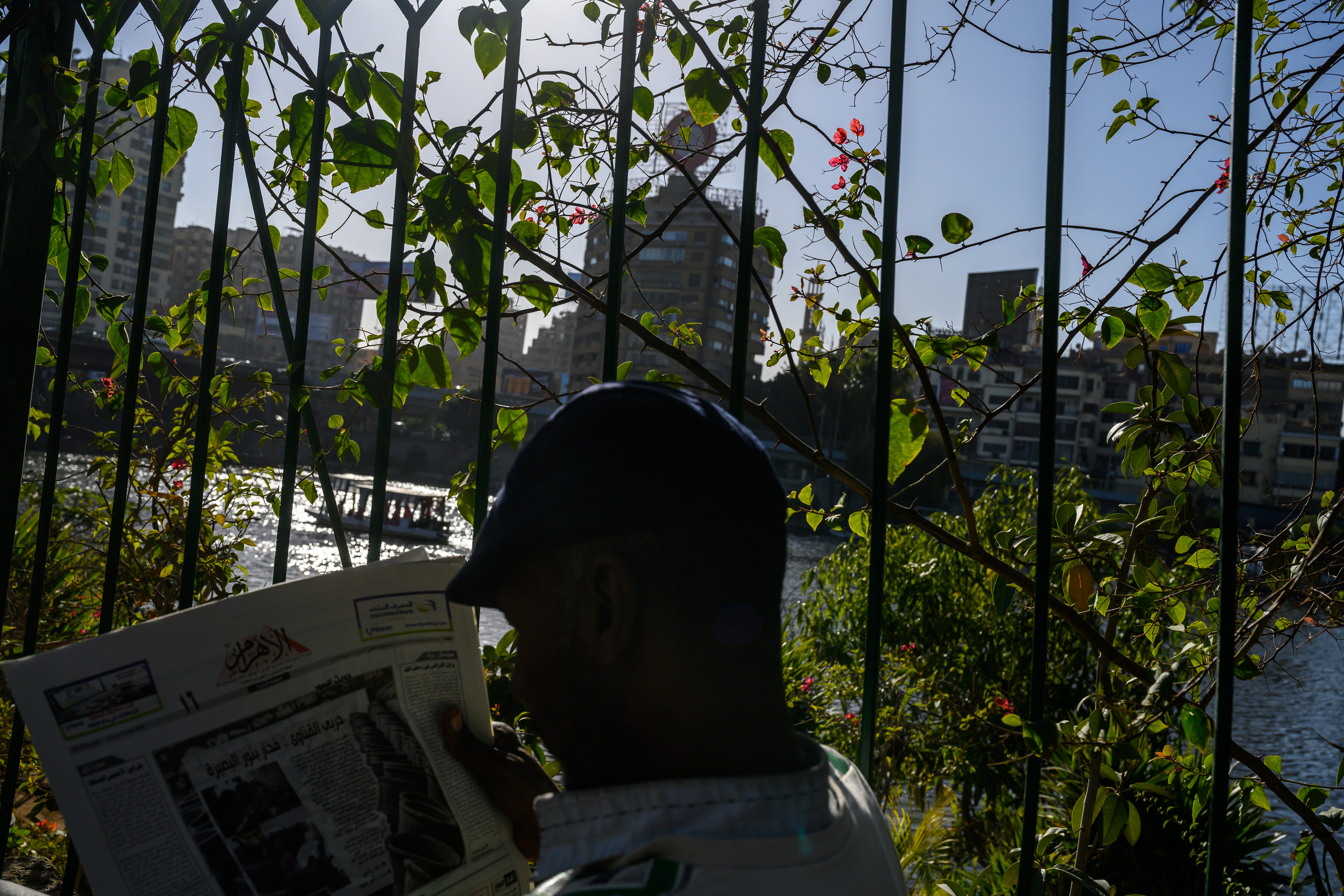 Dimitri Bakhtadze, Cairo. Dimitri Bakhtadze photographer