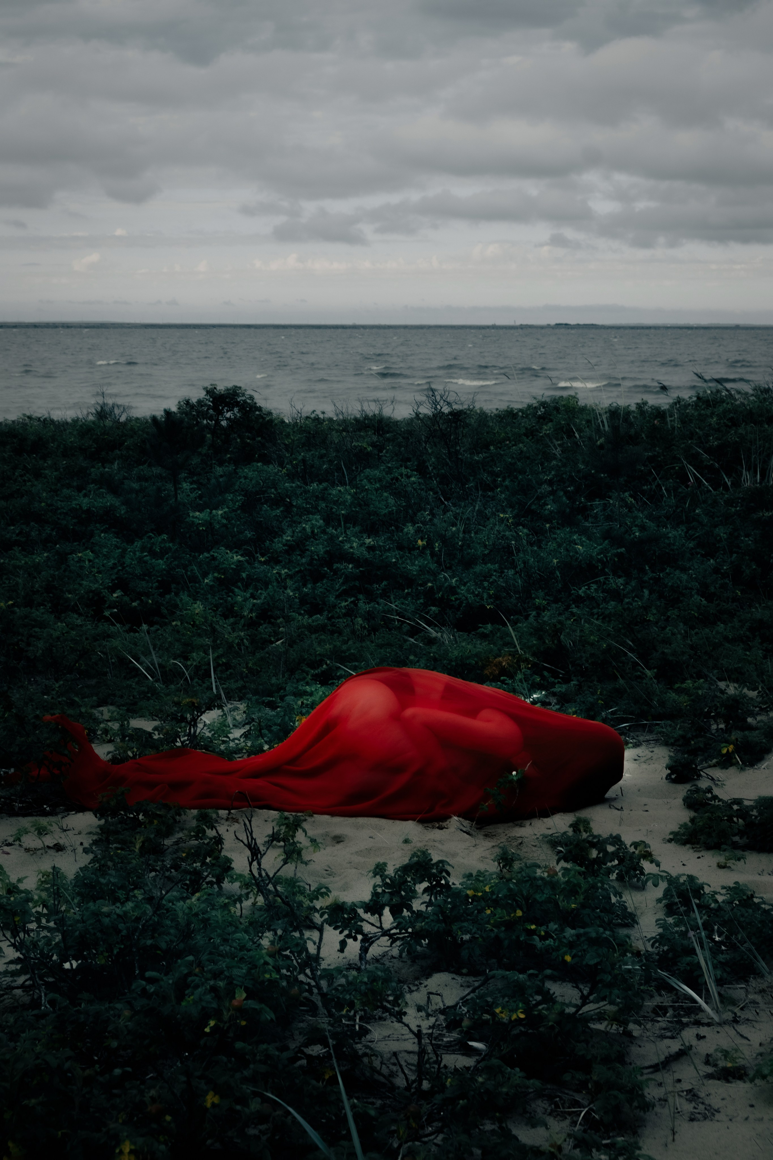 SIREN. Портретный и fashion-фотограф в Санкт-Петербурге Олеся Поле