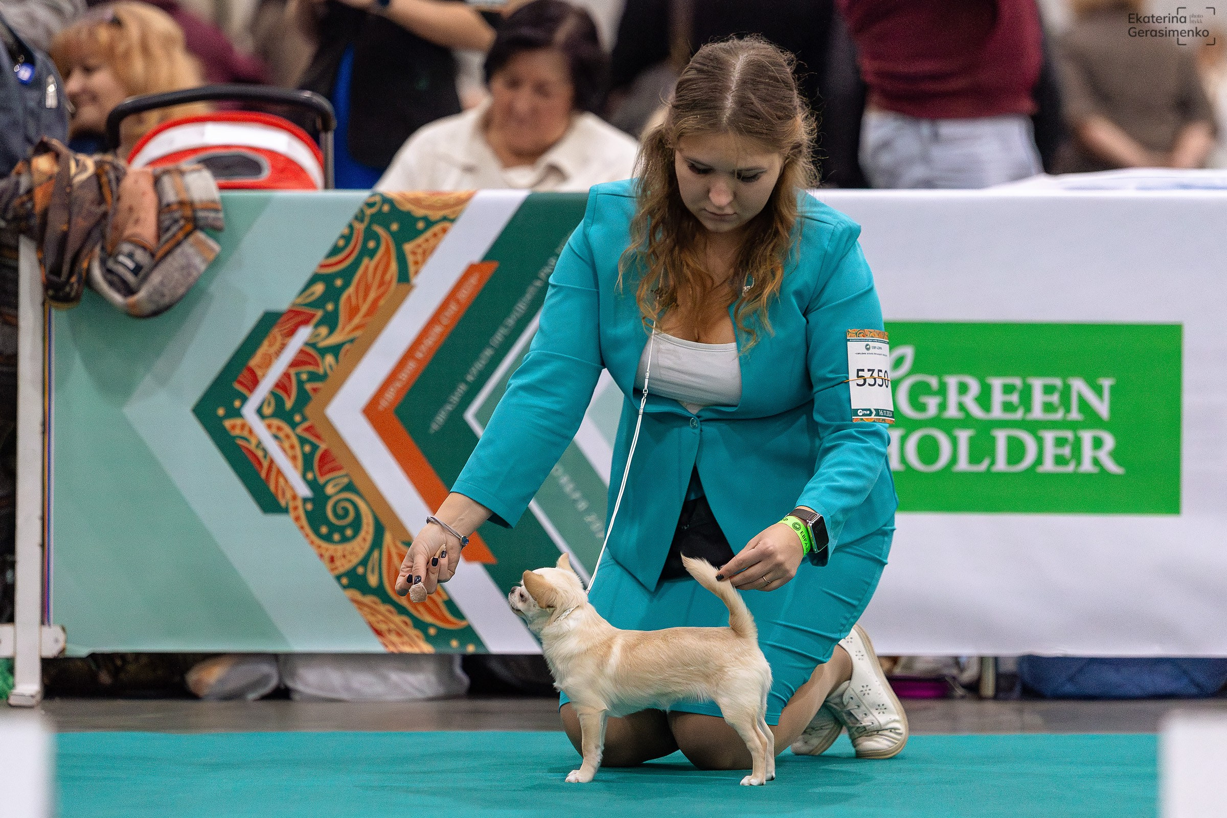 16–17 ноября 2024, Выставка ЕВРАЗИЯ, г. Москва. Htykk_photo