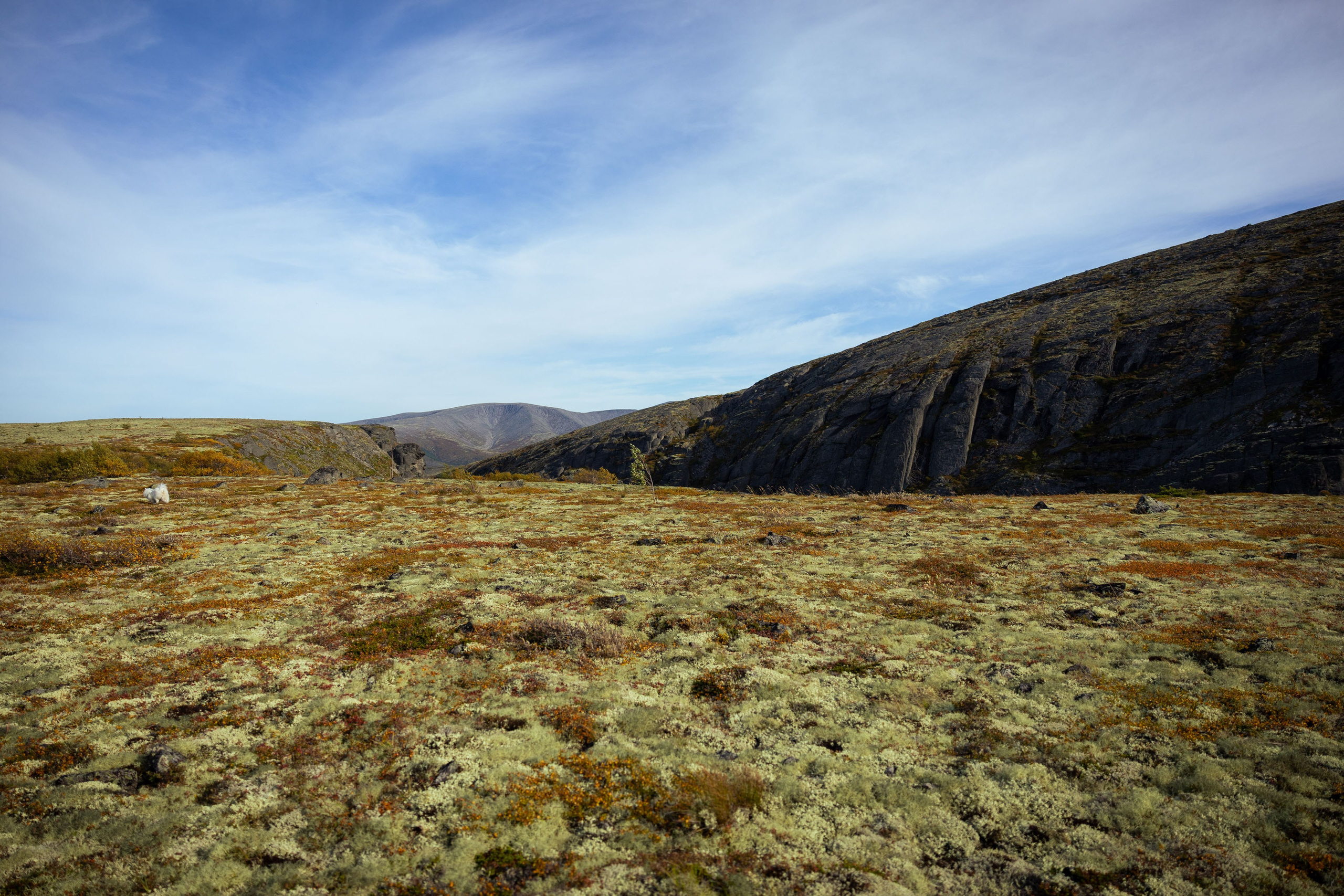 Кольский (осень 2025). Фотограф Виноградов Константин