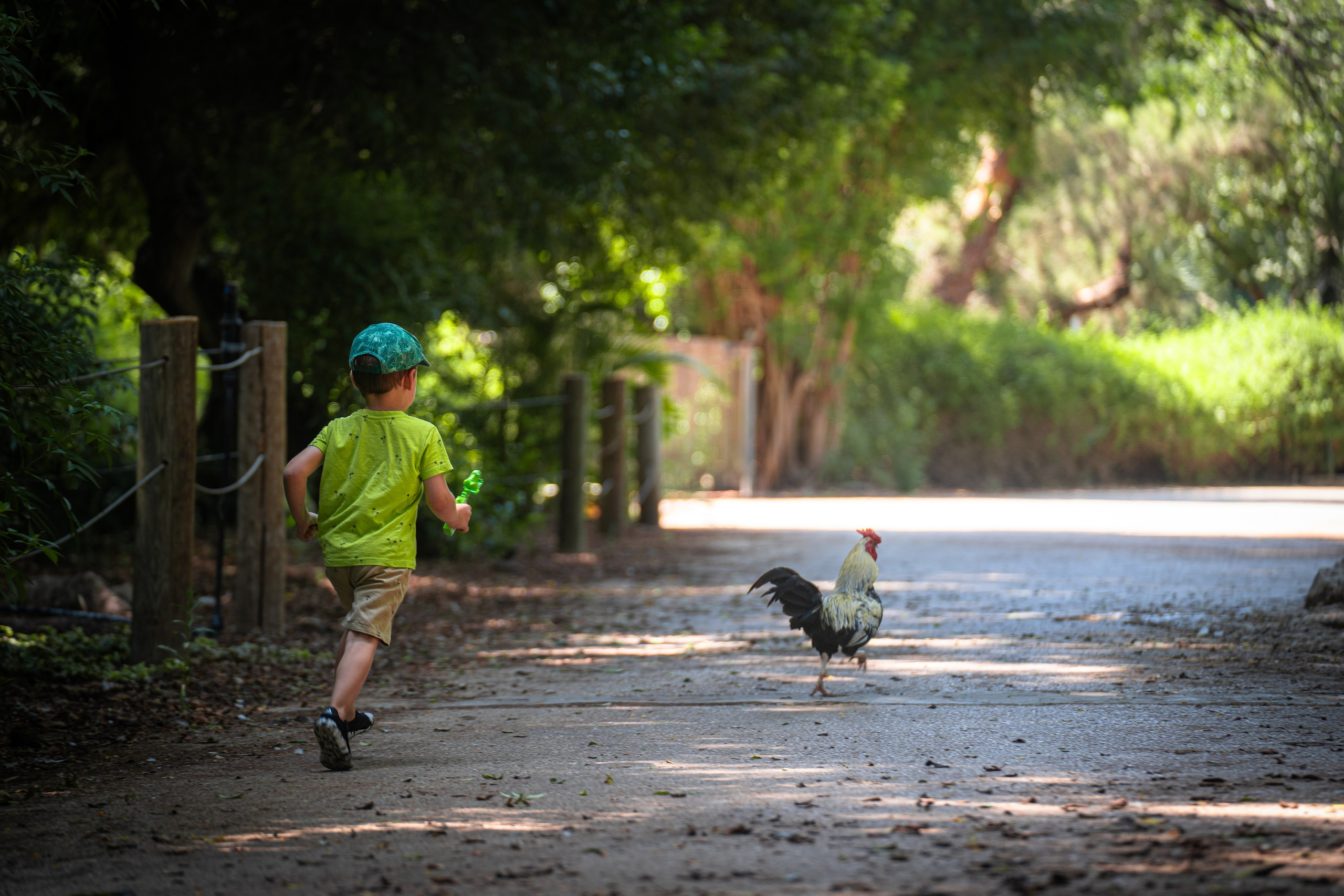 RAMAT GAN NATIONAL PARK. Семейный и travel-фотограф из Израиля