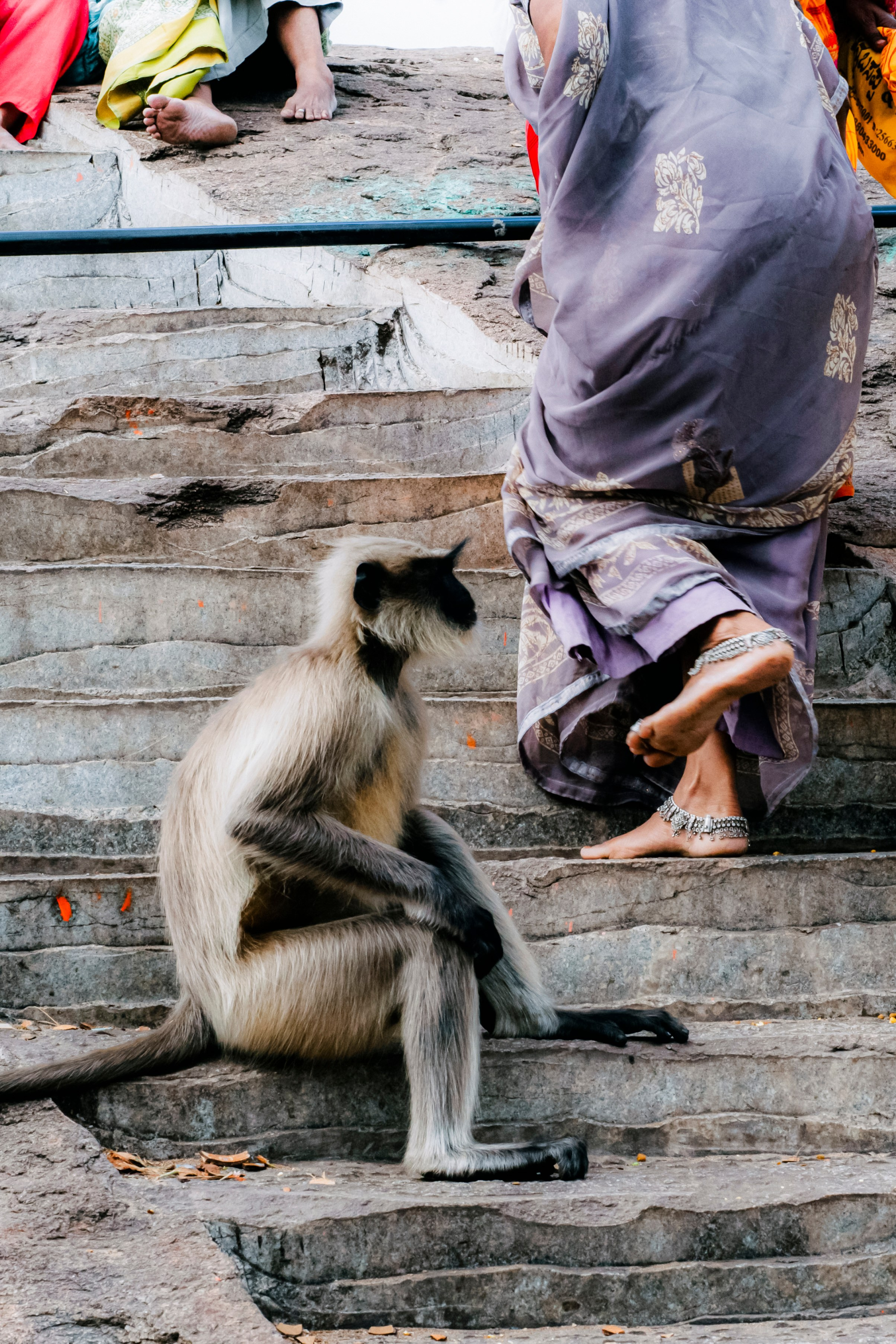 Хампи стрит фото. Iraogo
