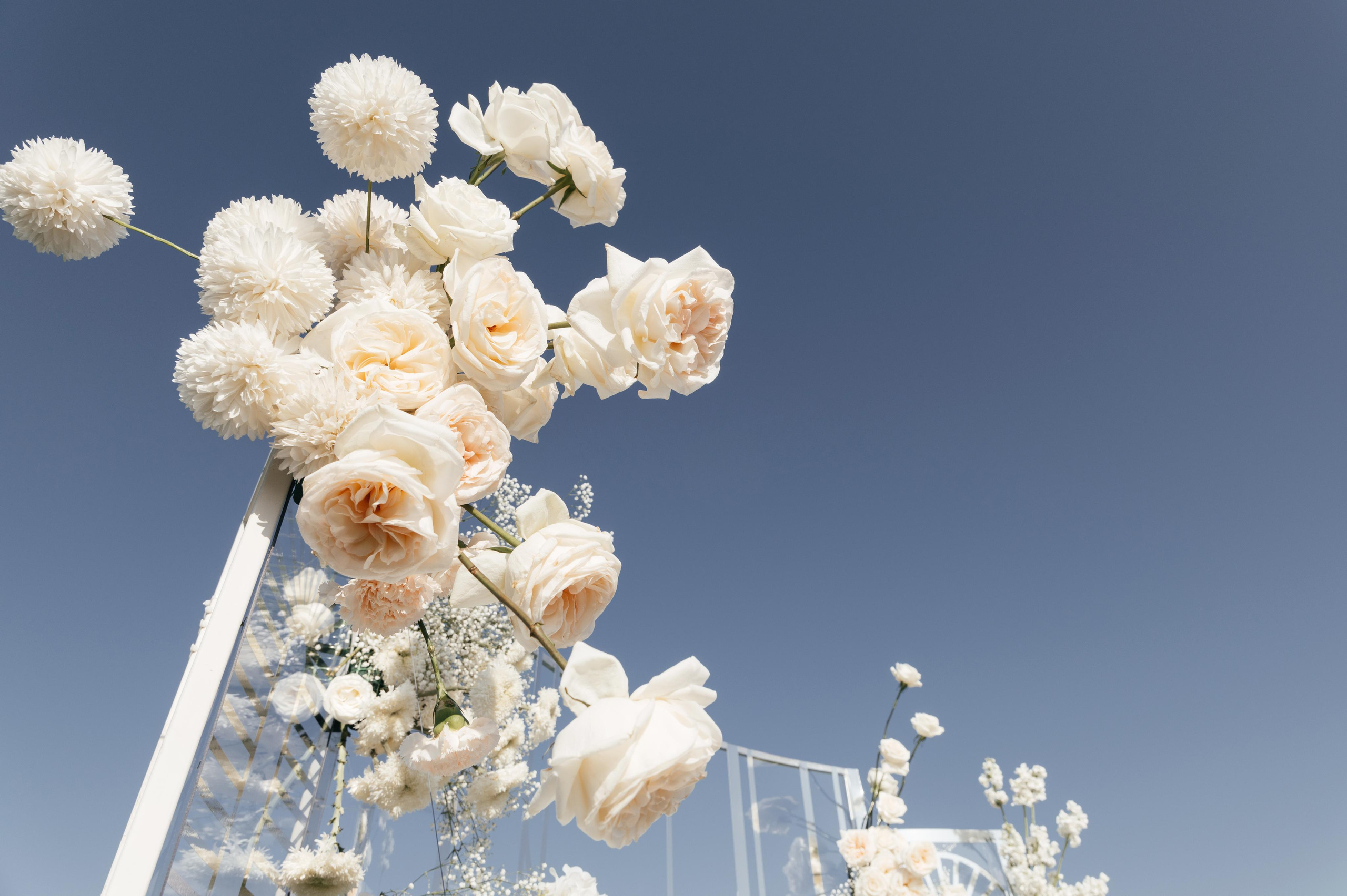 Wedding and family photographer in Dubai Vasilii Albul