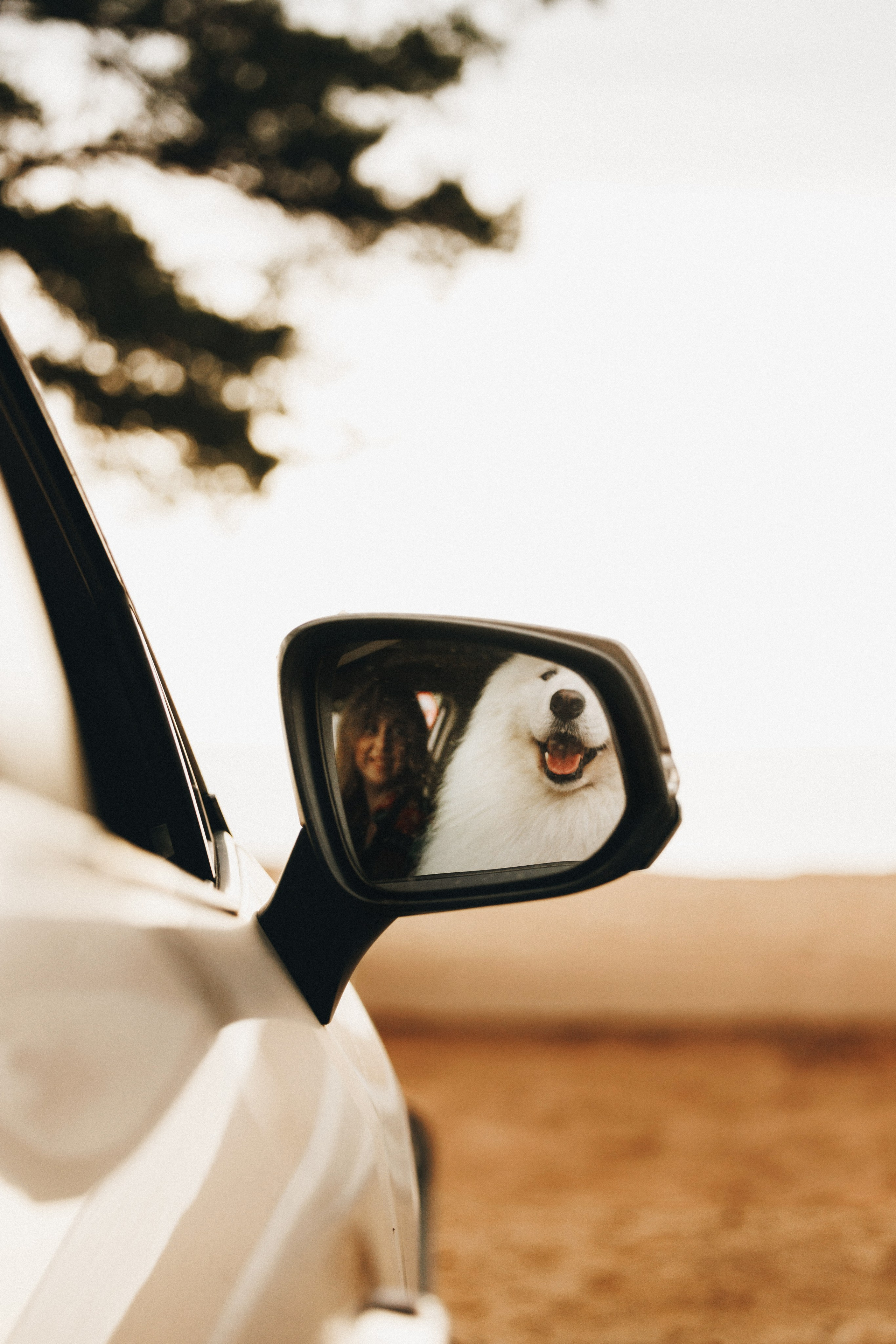 Женя и Цезарь. Фотограф анималист Осипчикова Мария