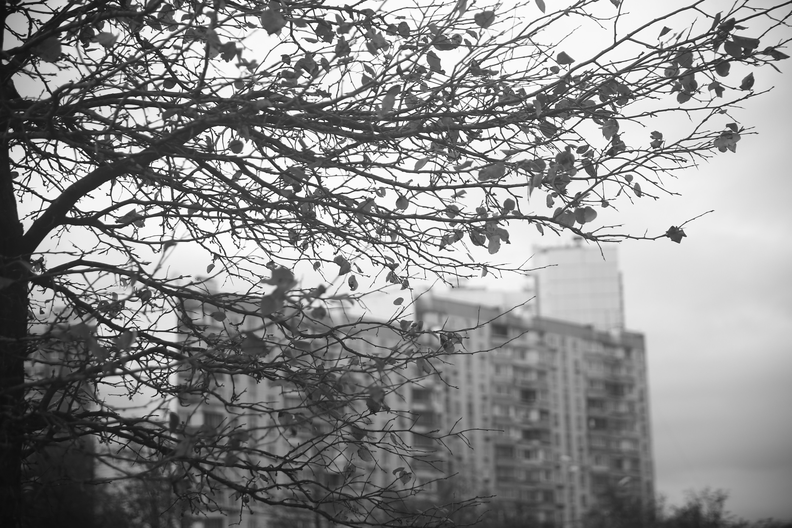 Всё, что я вижу вокруг себя