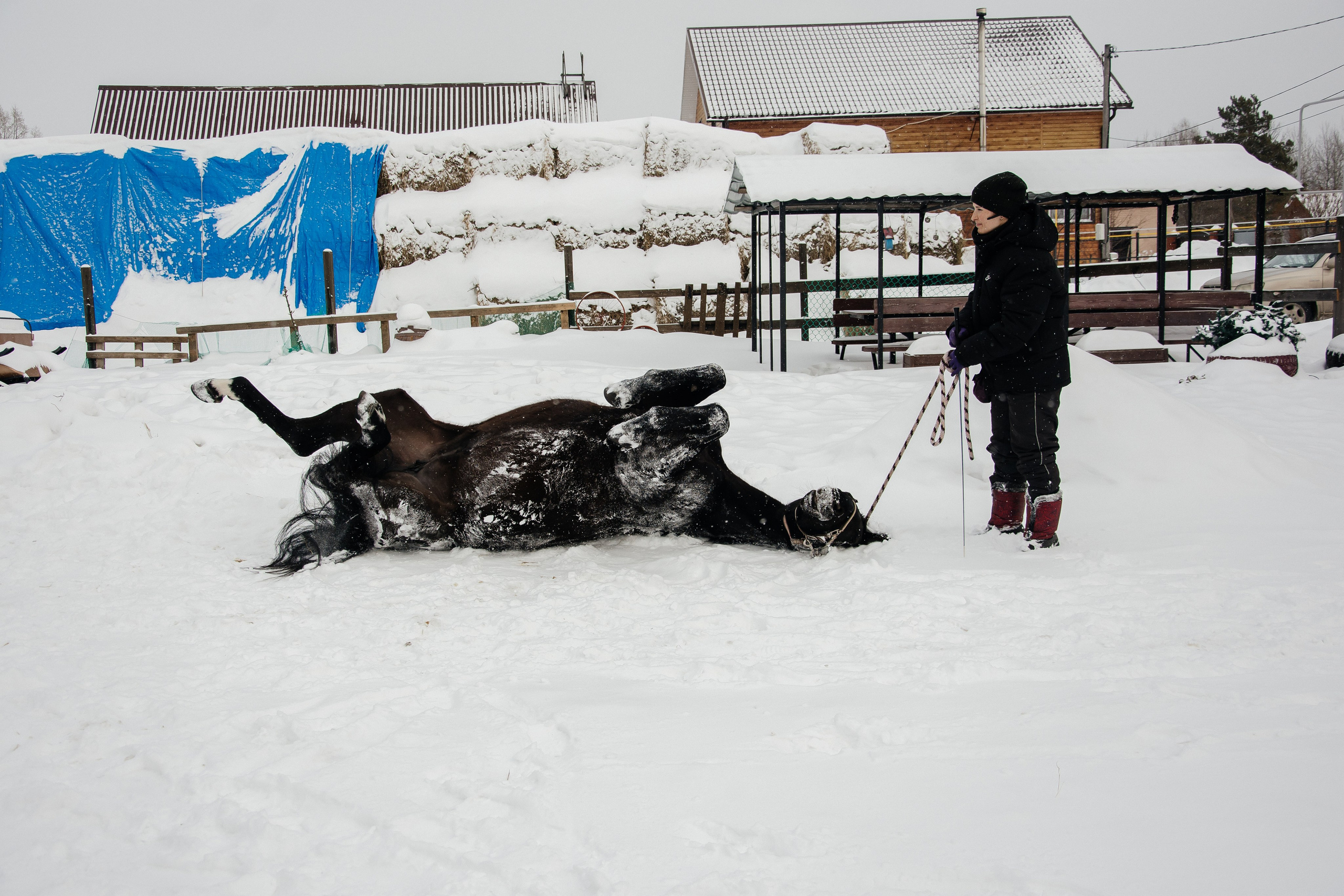 Детская прогулка. Фотограф на все случаи