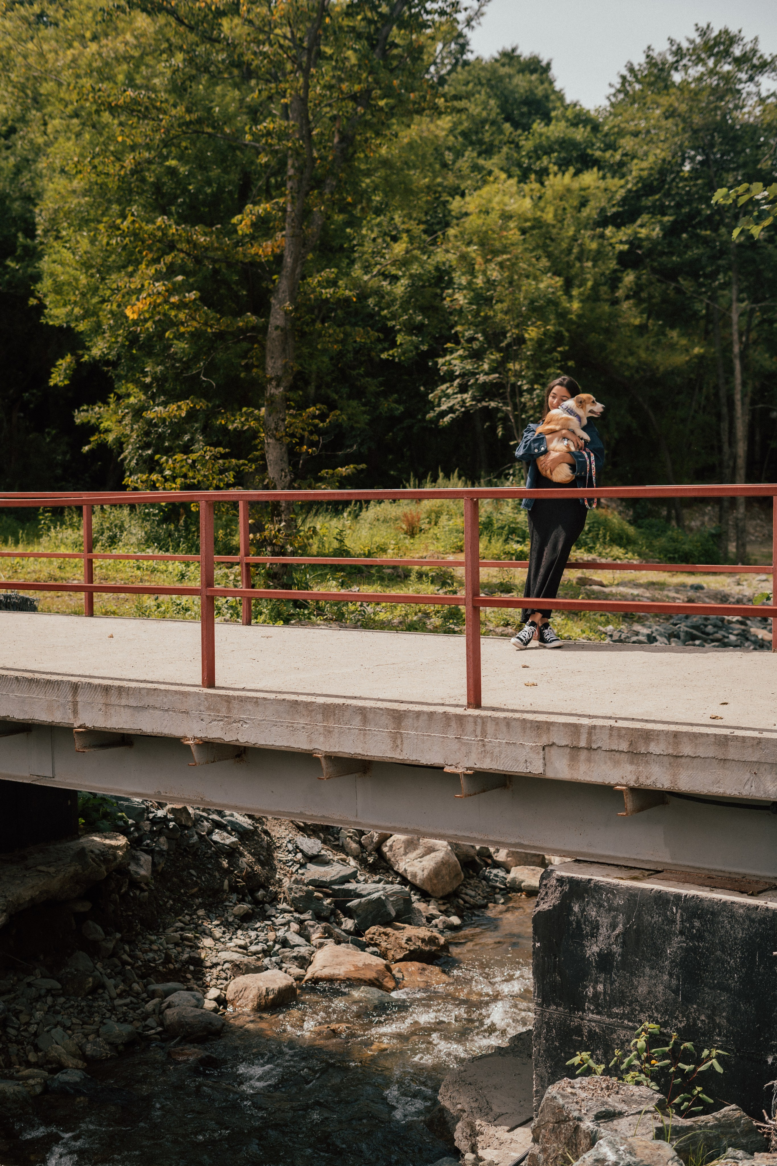 Фотосессия с собакой сахалин. Фотограф сахалин