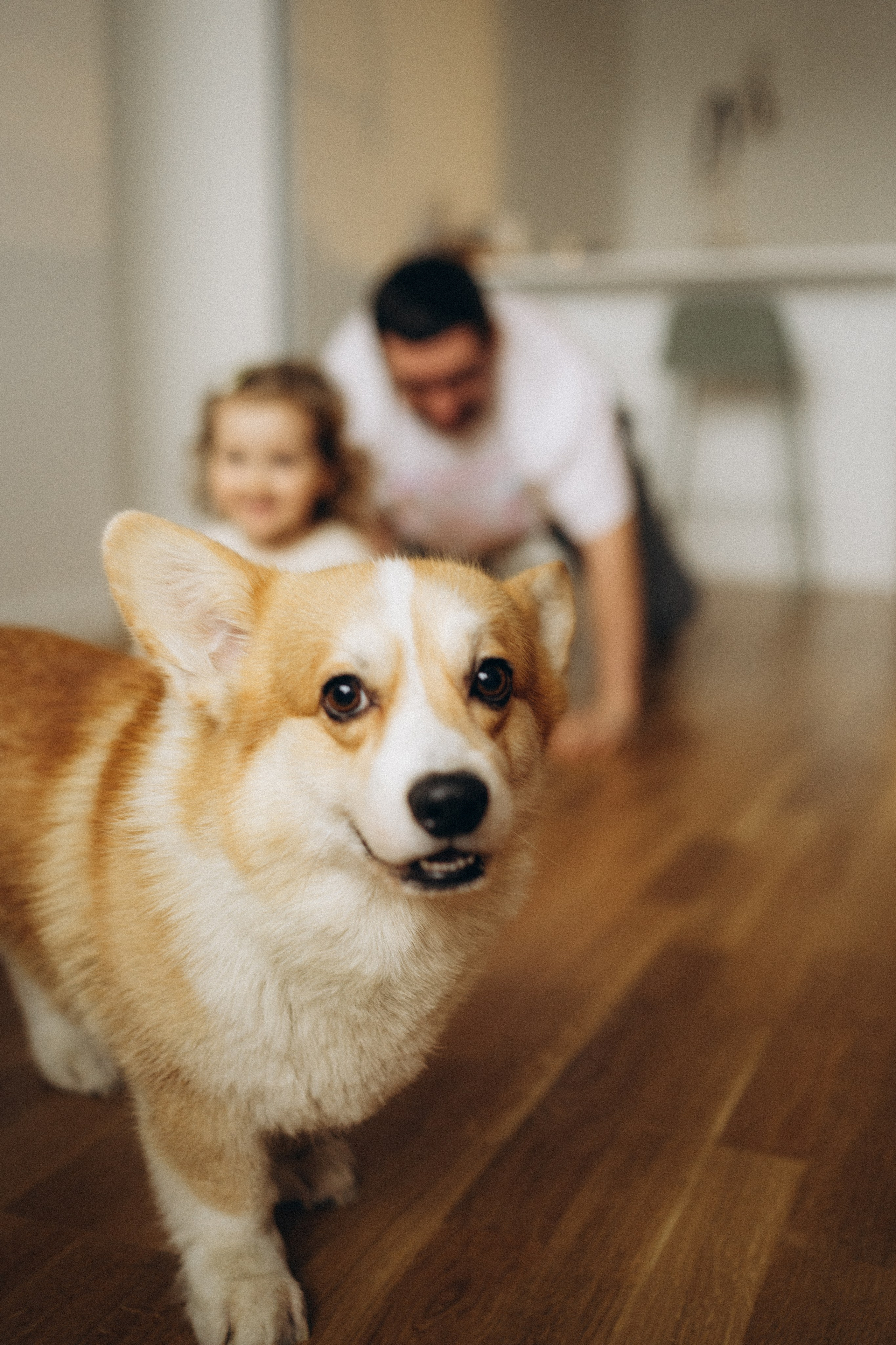 Дом там, где семья. Свадебный и семейный фотограф в Москве Ксения Шведова