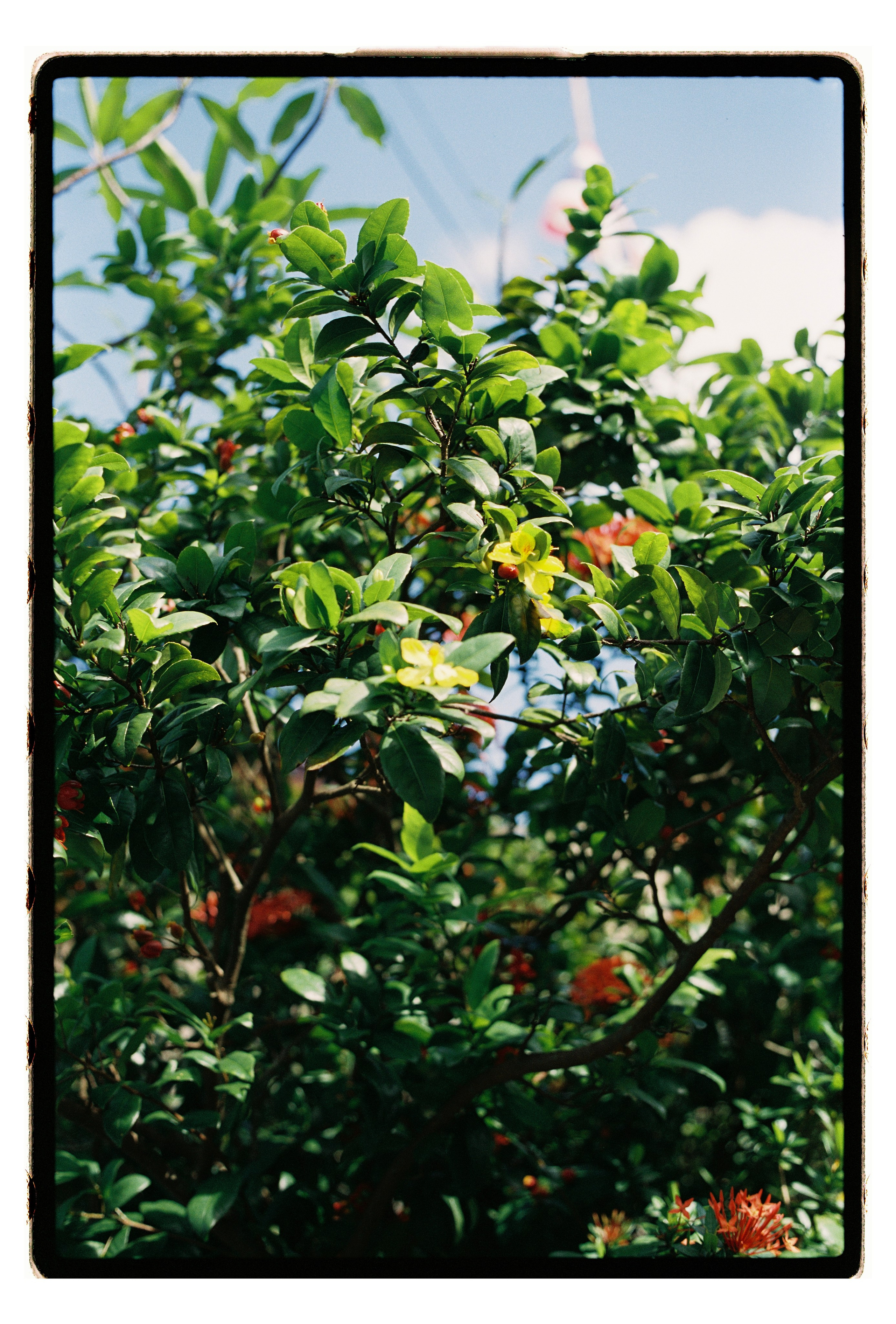 Пейзаж и архитектура. Maria Sineva, photographer