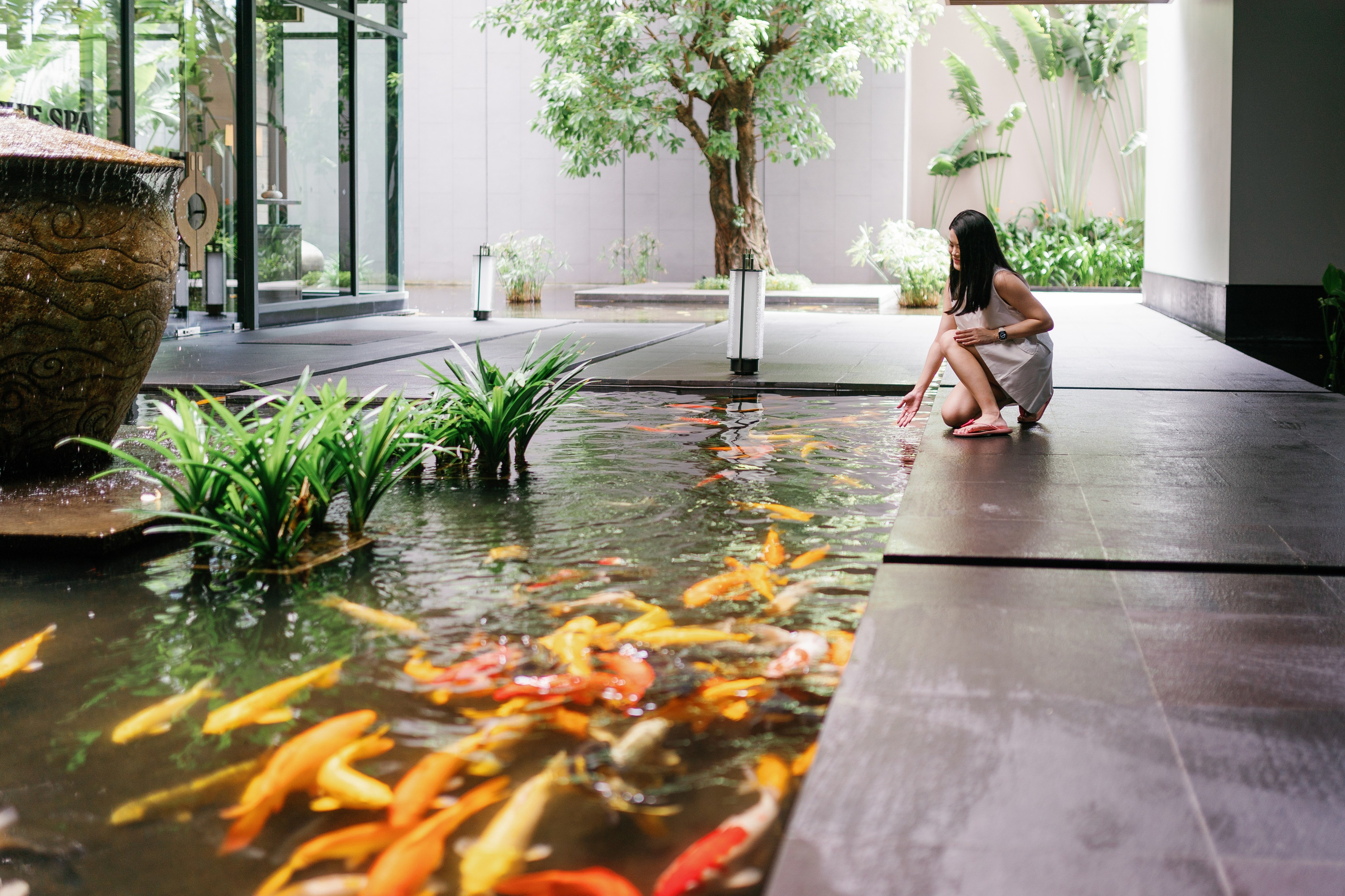 Elena’s birthday. Phu Quoc Photographer — Phu Quoc wedding Photograper