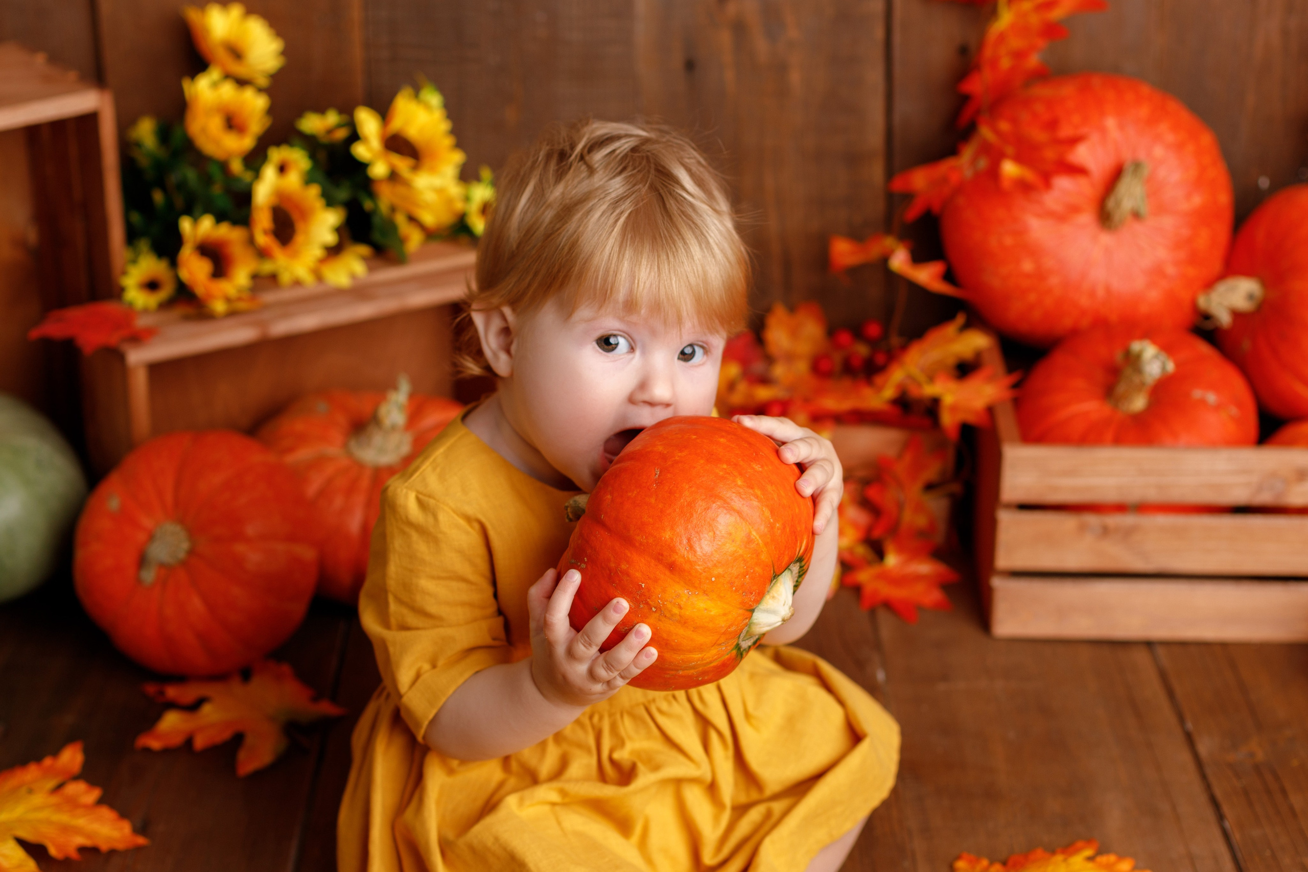 Осенний фотопроект. Фотограф новорожденных, детский фотограф в г. Оренбурге Екатерина Козлова