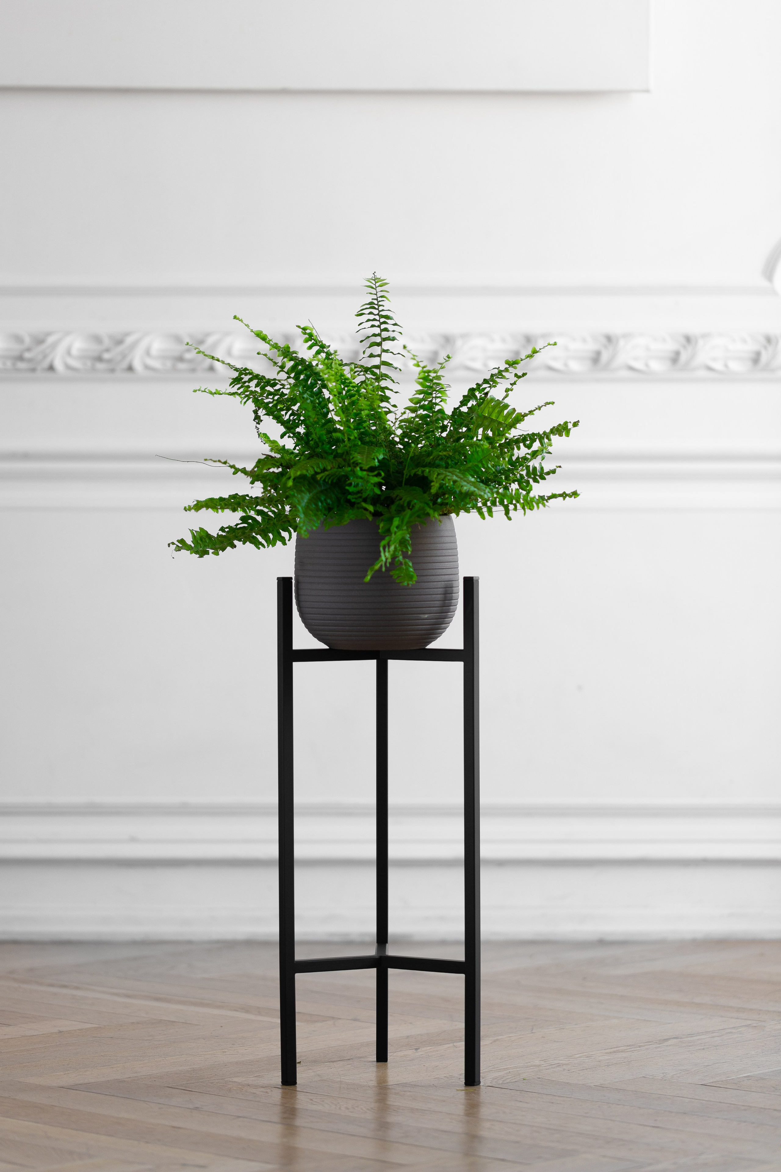 GREENWEEN. Дизайнерская мебель. Интерьерный фотограф и видеограф в Санкт-Петербурге Вадим Балбашевский