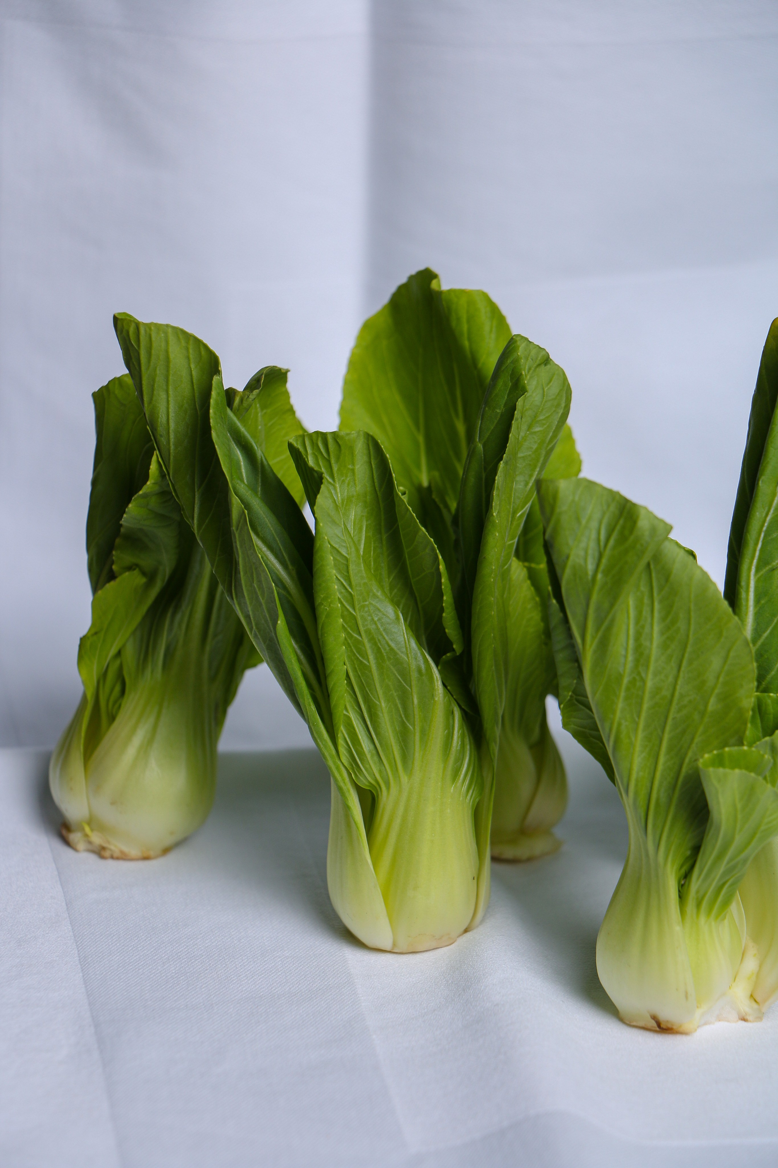 Dolce vita. Контент-фотограф Калининград АНАСТАСИЯ ТКАЧЕВА