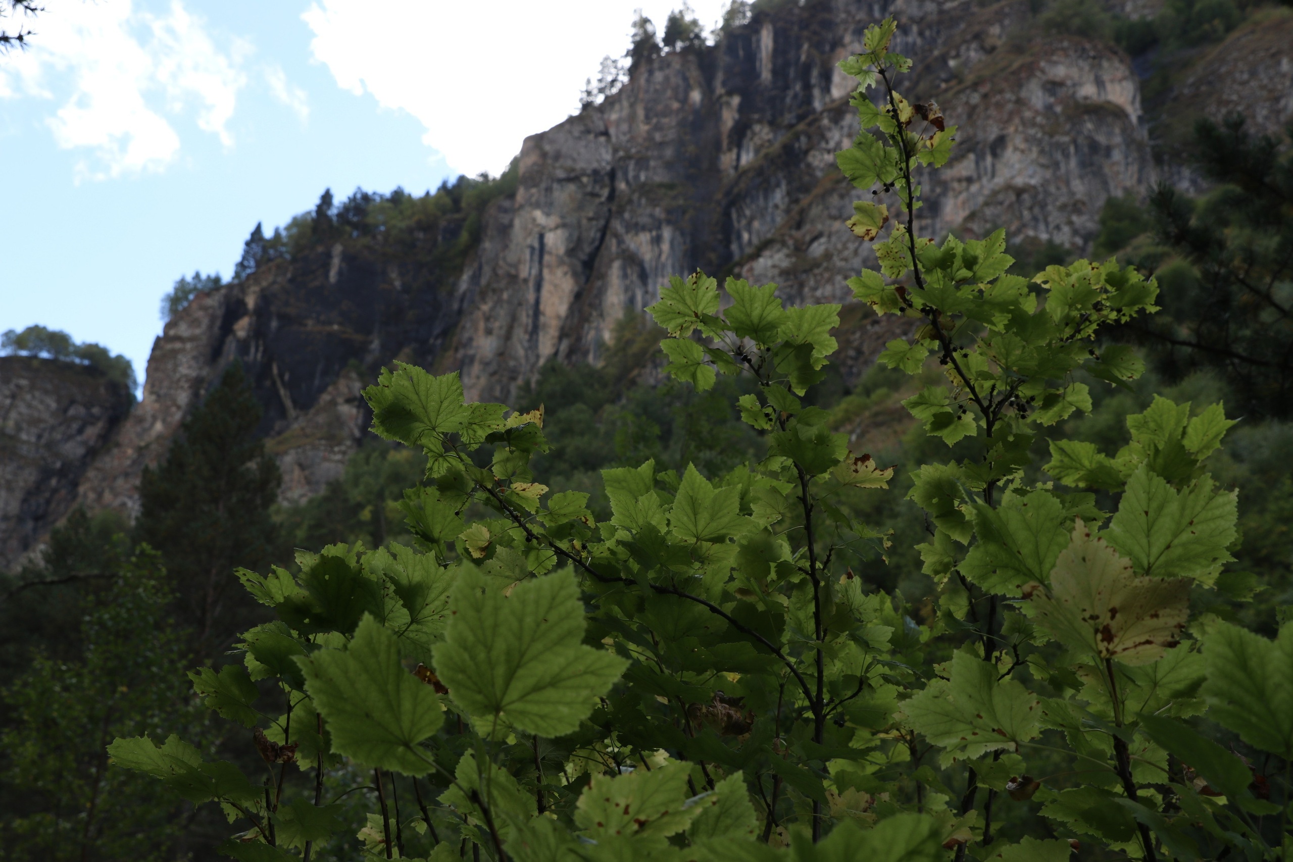Приэльбрусье. Сентябрь 2023. Путешественник-фотограф из Санкт-Петербурга Татьяна Свистулина