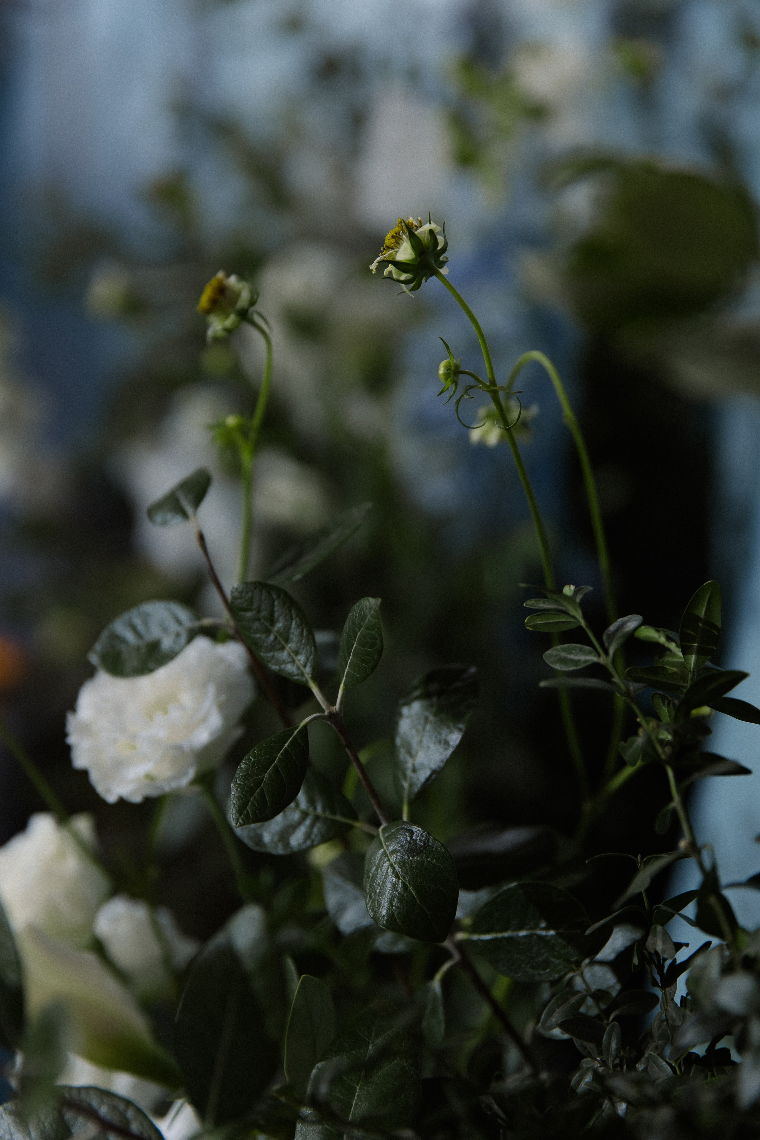 Никита&Катя. Свадебный и семейный фотограф в Краснодаре и крае