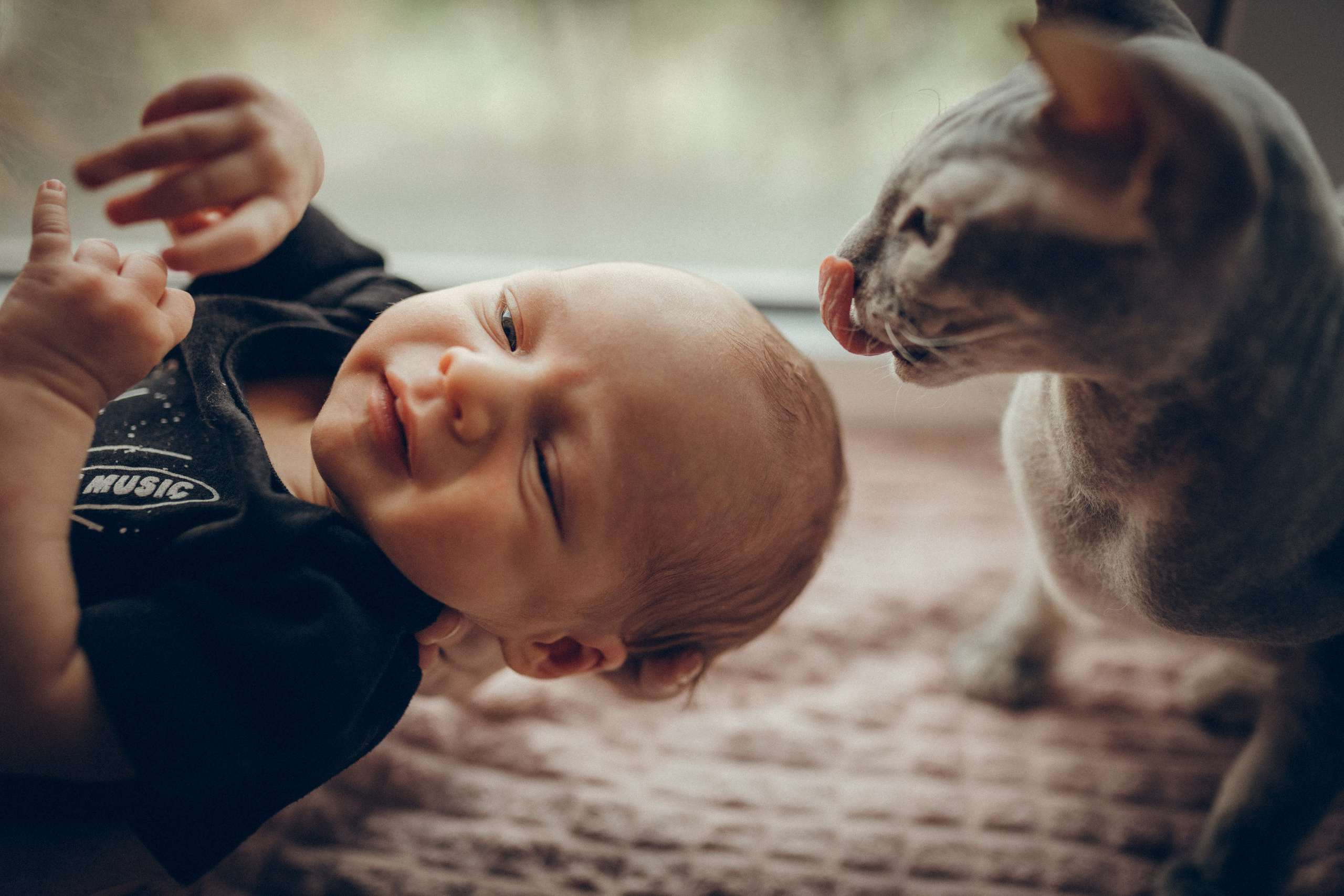 Света, Женя, Кирилл и Мышка. Семейный фотограф и фотограф на роды в Ростове-на-Дону Мухина Виктория