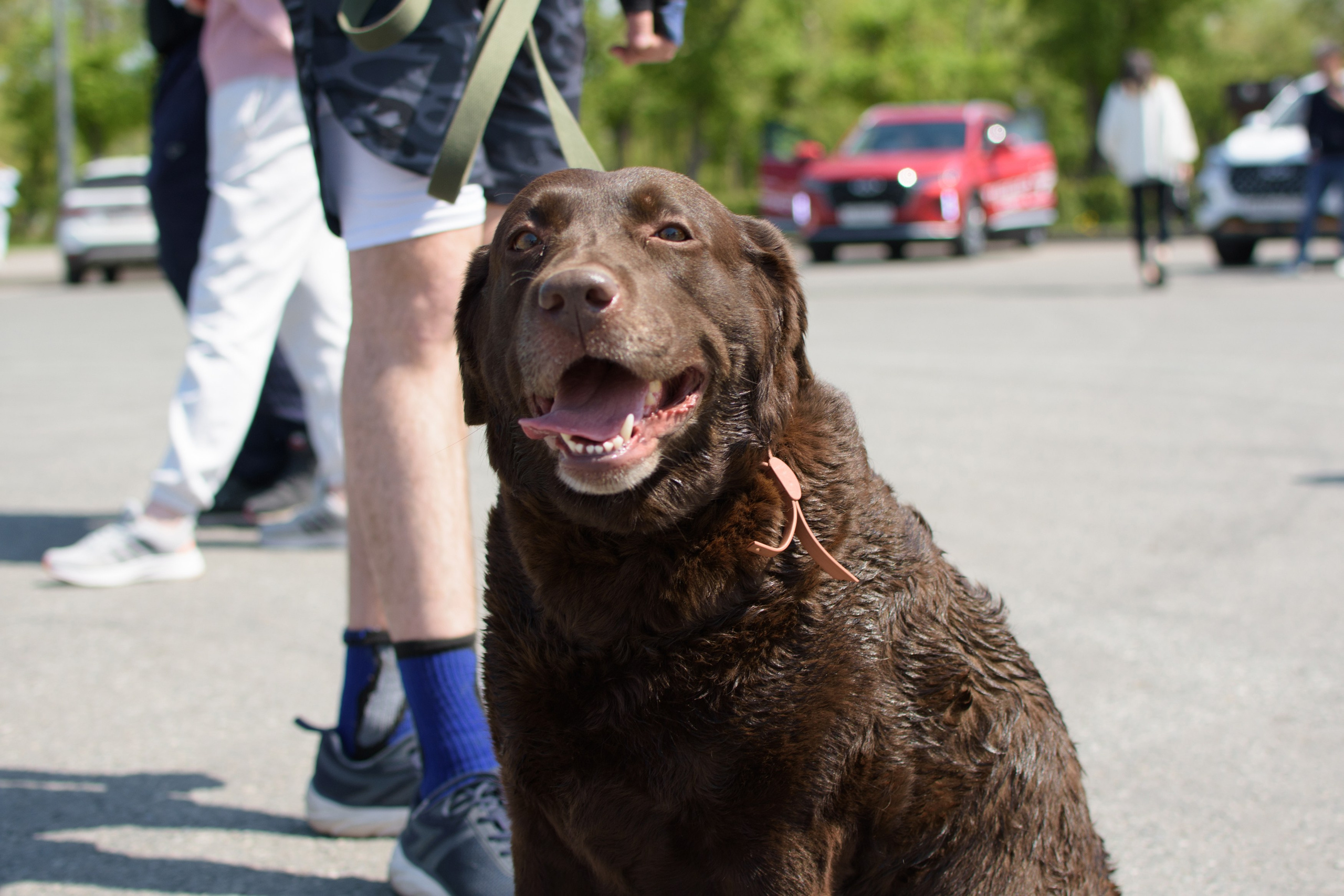 Промо день Omoda. Evgeniy Roslov