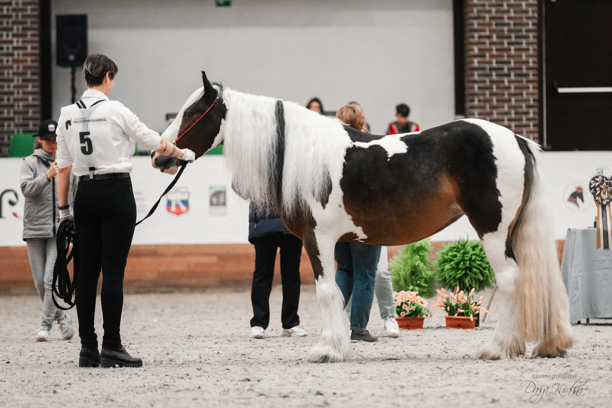 8-я международная выставка Конная Россия. Конный фотограф Куракина Дарья • Фотосессии с лошадьми