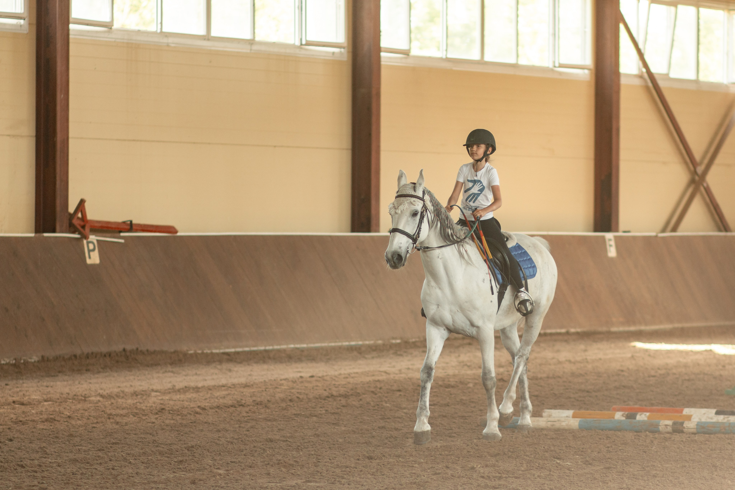 Новости конного спорта