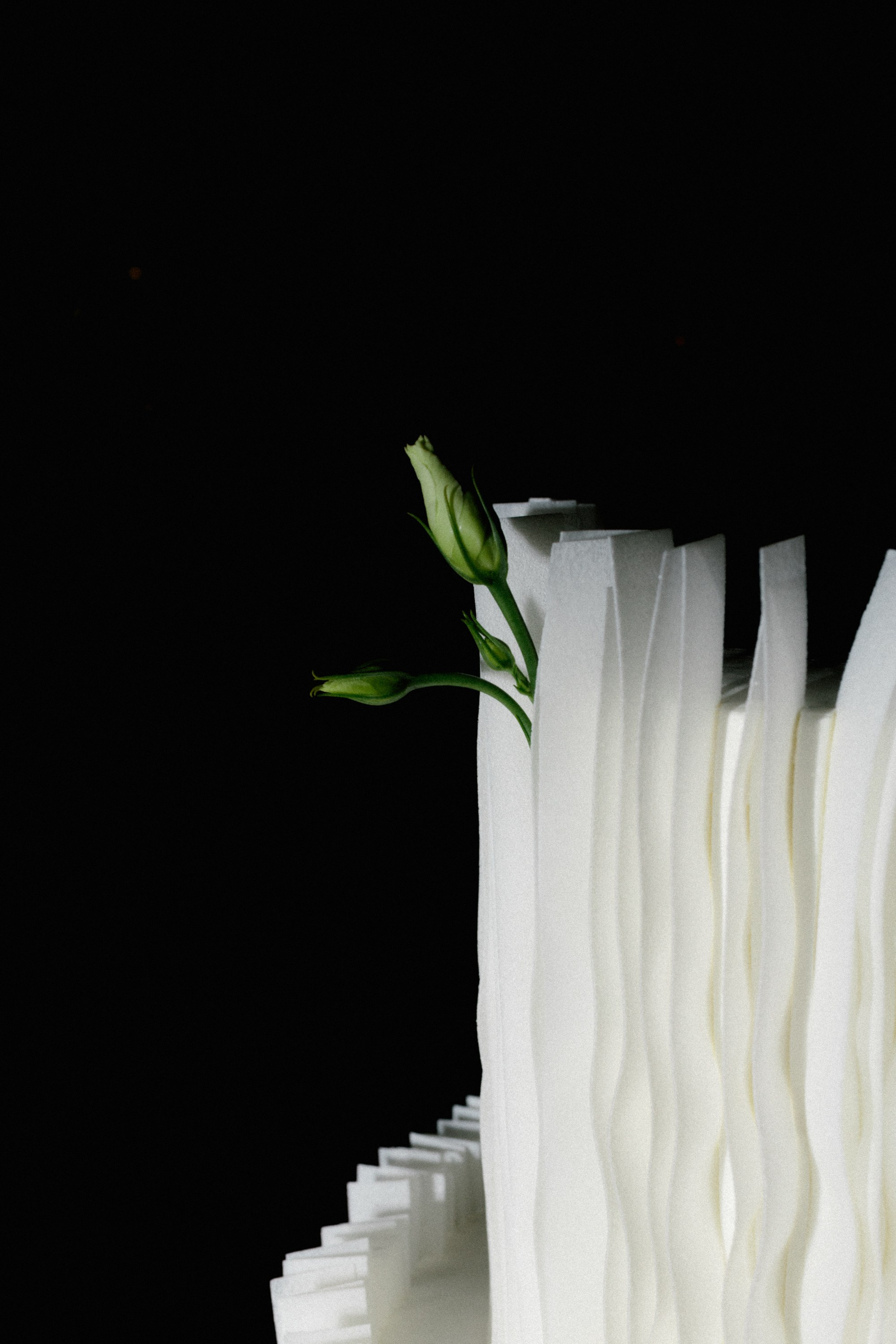 Вераника и Григорий. Репортажный и портретный фотограф во Владимире Сергей Кравцов