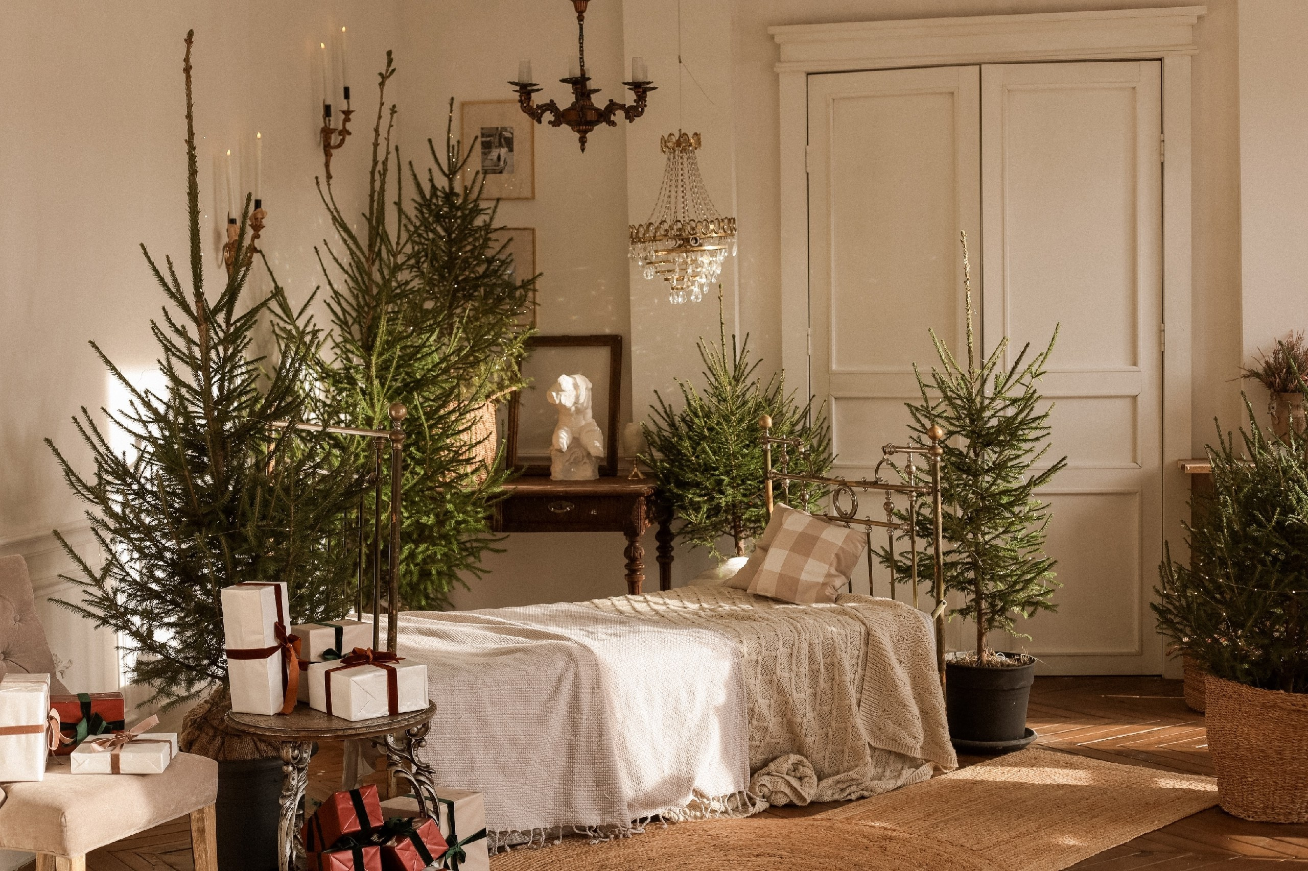 Фотостудия «Fine-Art» зал 3. Главная