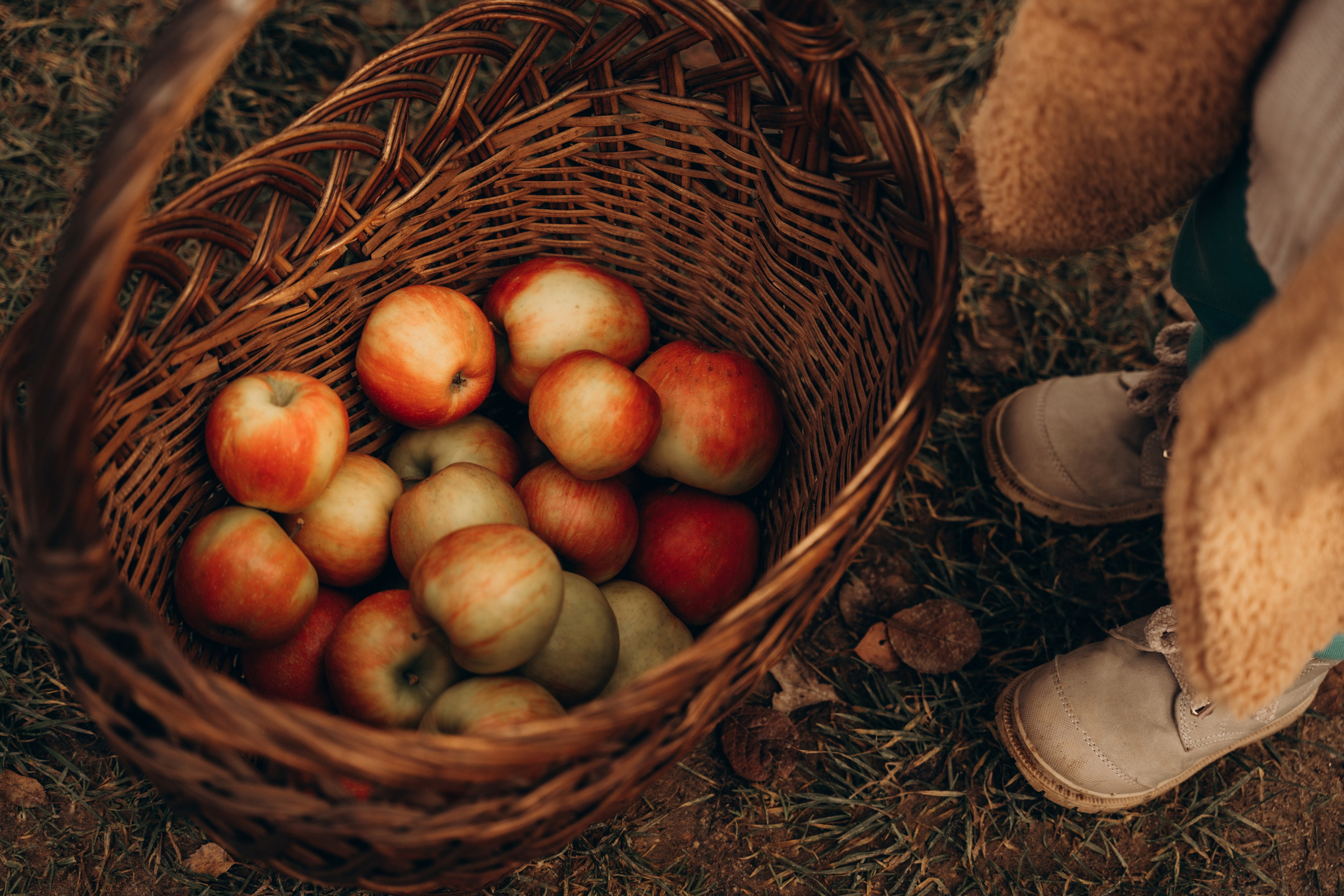 Настя, Алиска и Сеня. Фотограф в Минске — Мария Миллс