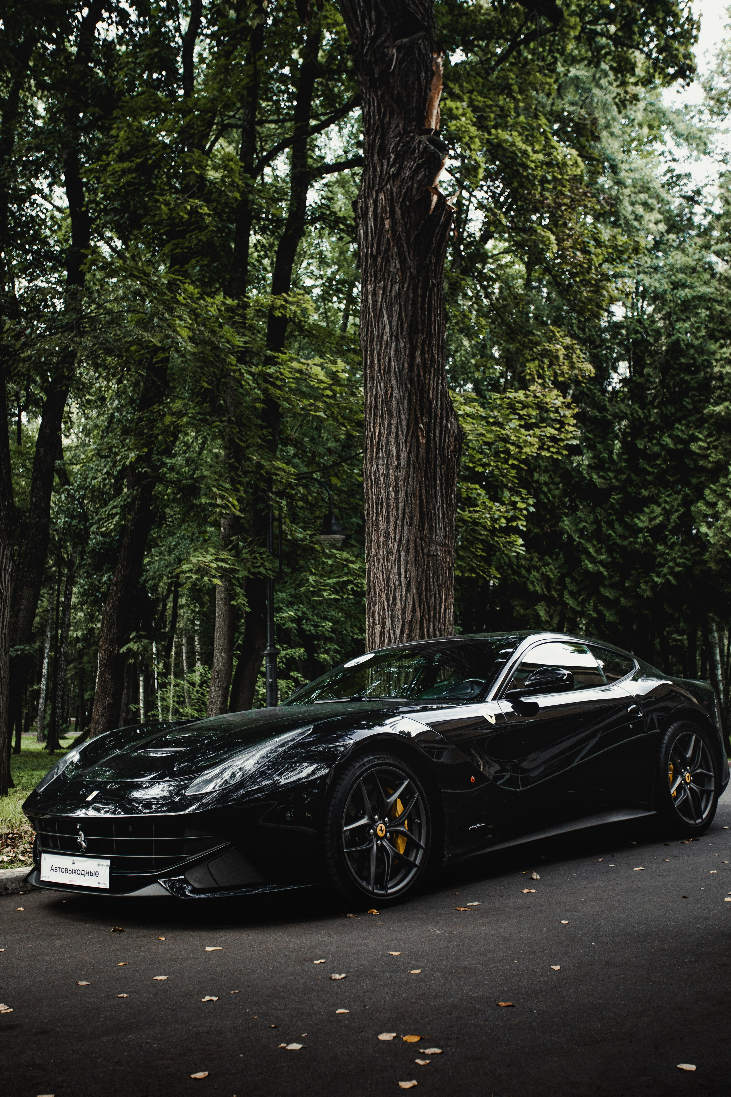 Автовыходные в Архангельской усадьбе. Спортивный фотограф — Никита