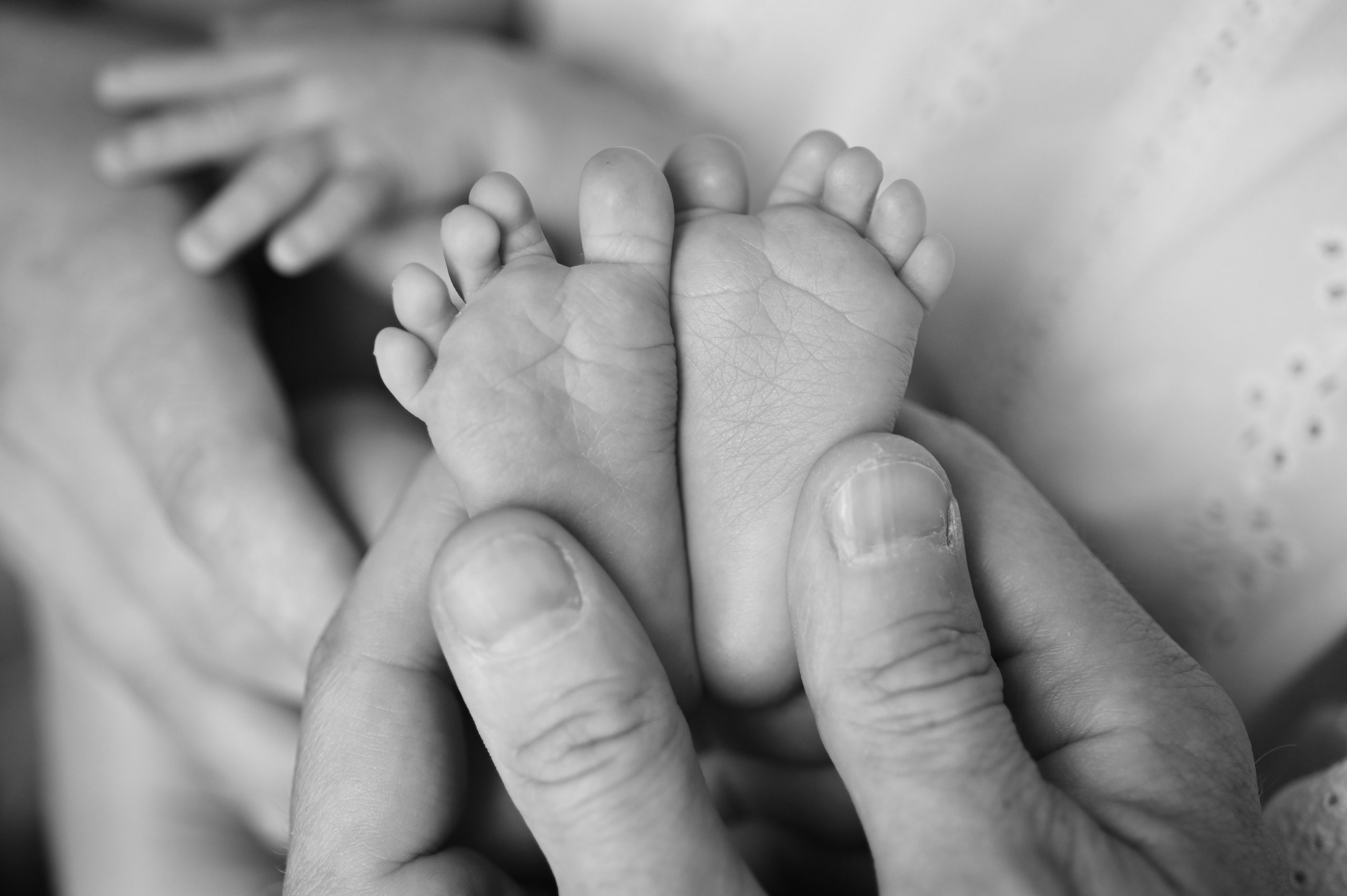 Newborn. Фотограф новорожденных во Владивостоке Панова Татьяна