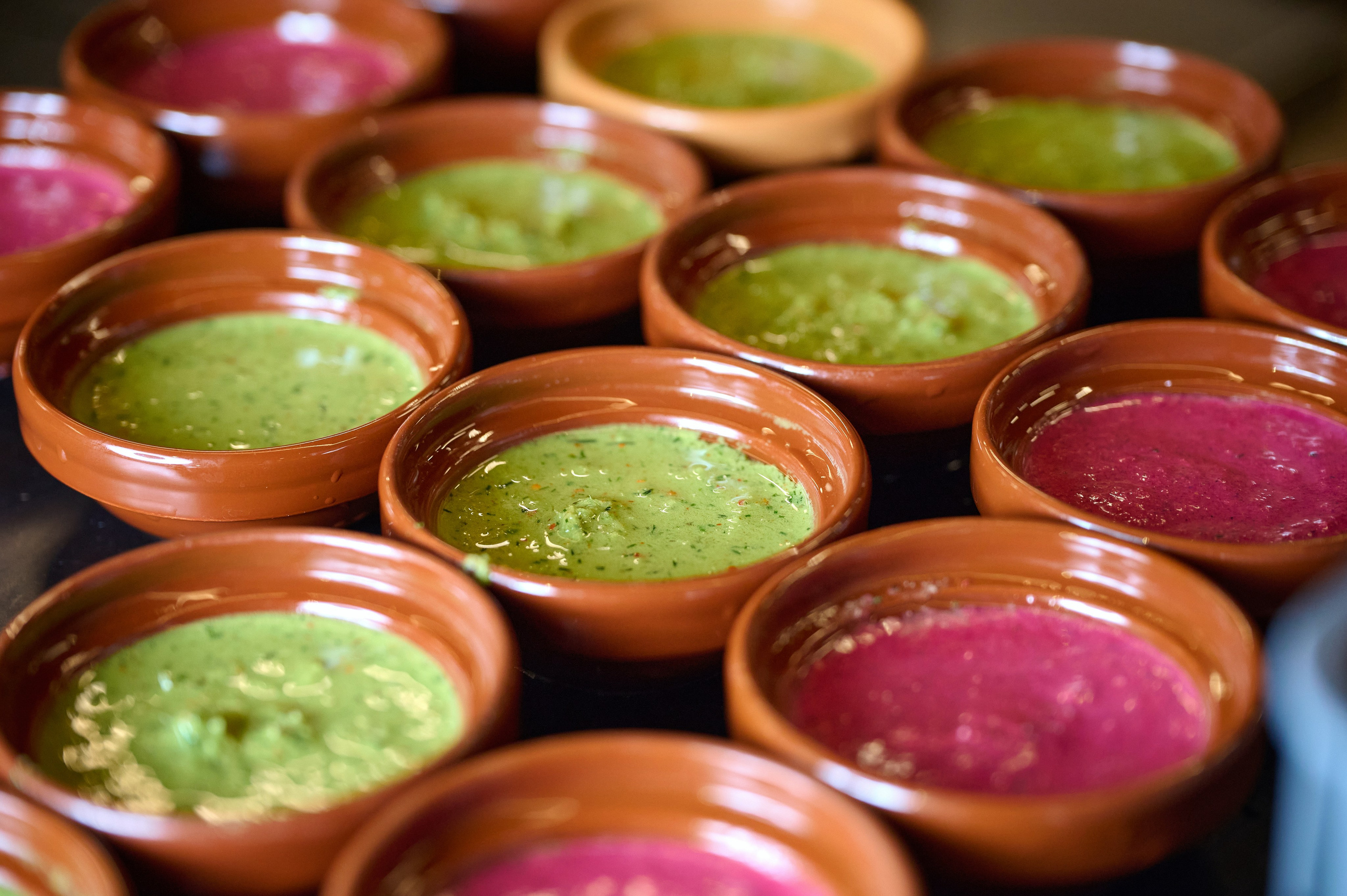 Хочу Пури 3 года. Фотограф Опыт Качество Скорость Горный Алтай Барнаул