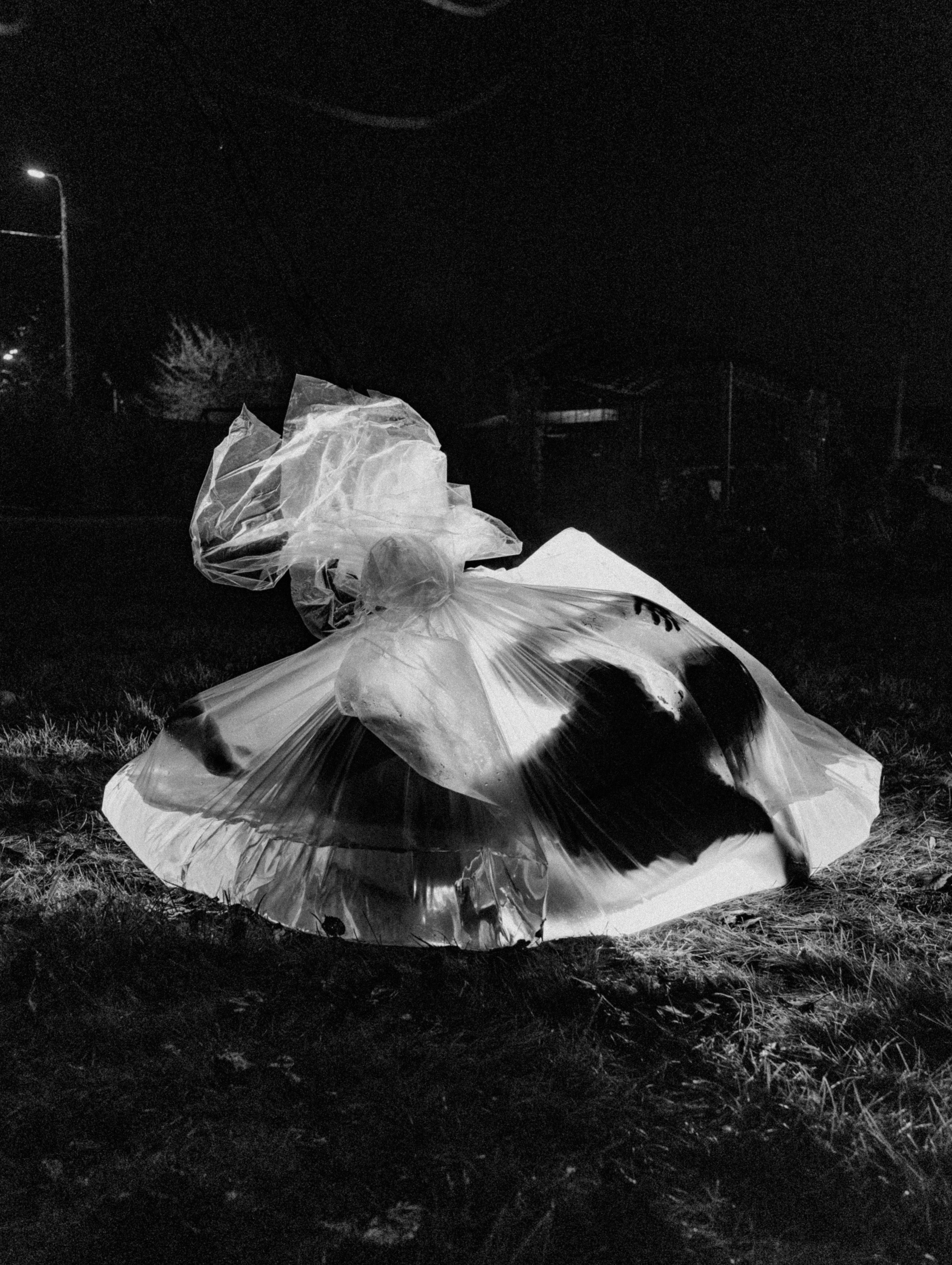 Фотограф | Киреев Семён | Москва