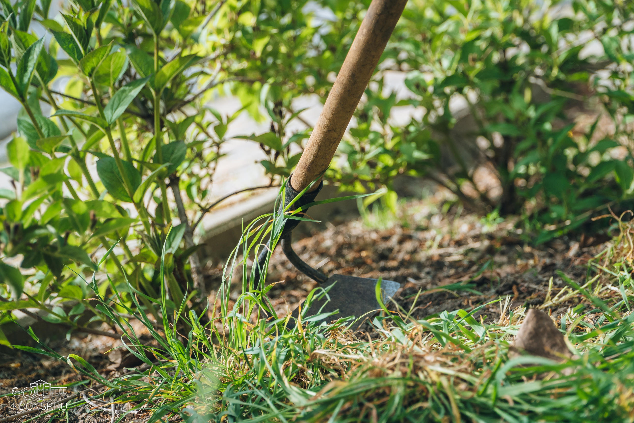 Акция «Всероссийский день заботы о памятниках истории и культуры». Новотитаровский Дом культуры