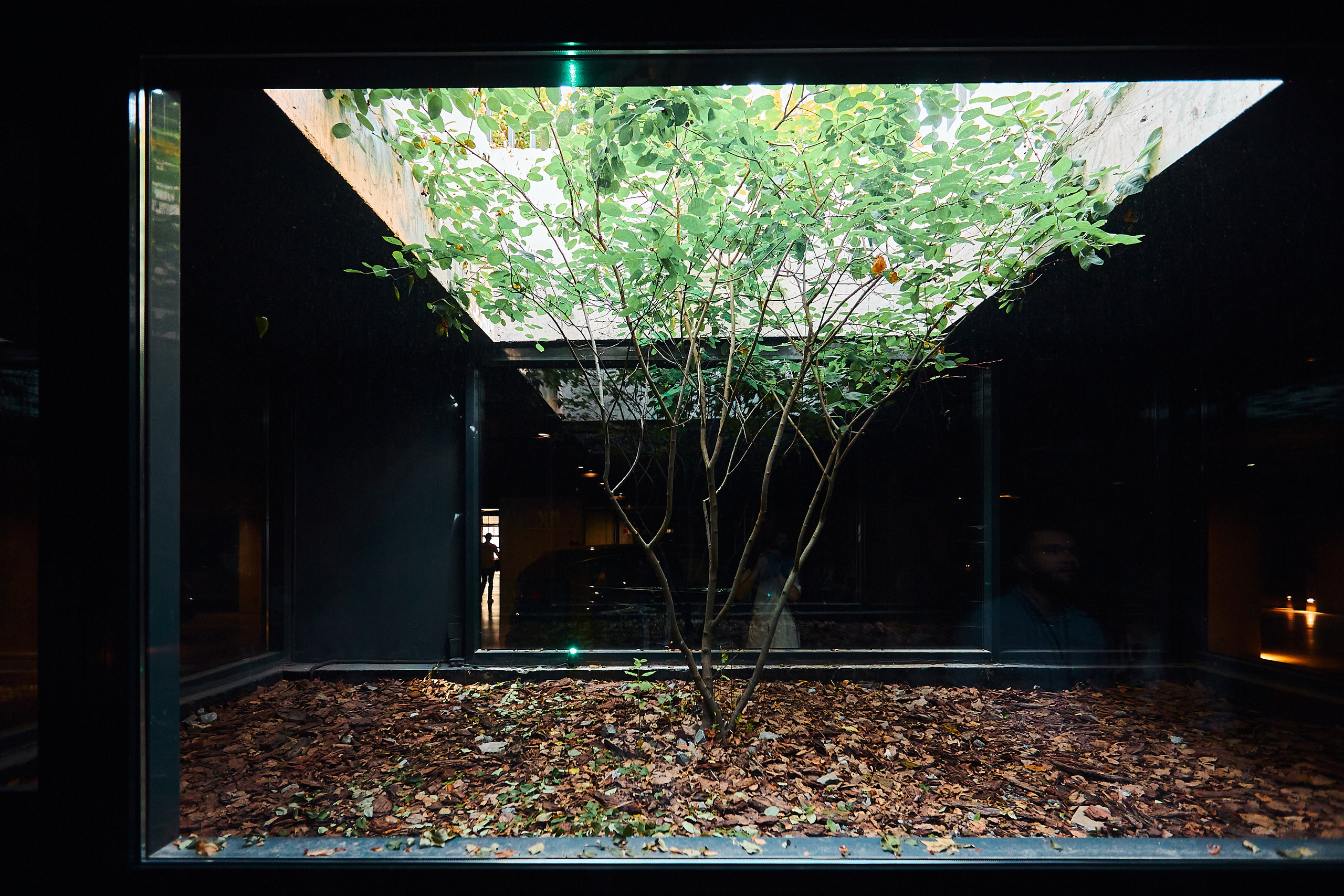 Европейский квартал. Бизнес портрет Аэросъемка Интерьерная съемка Тюмень