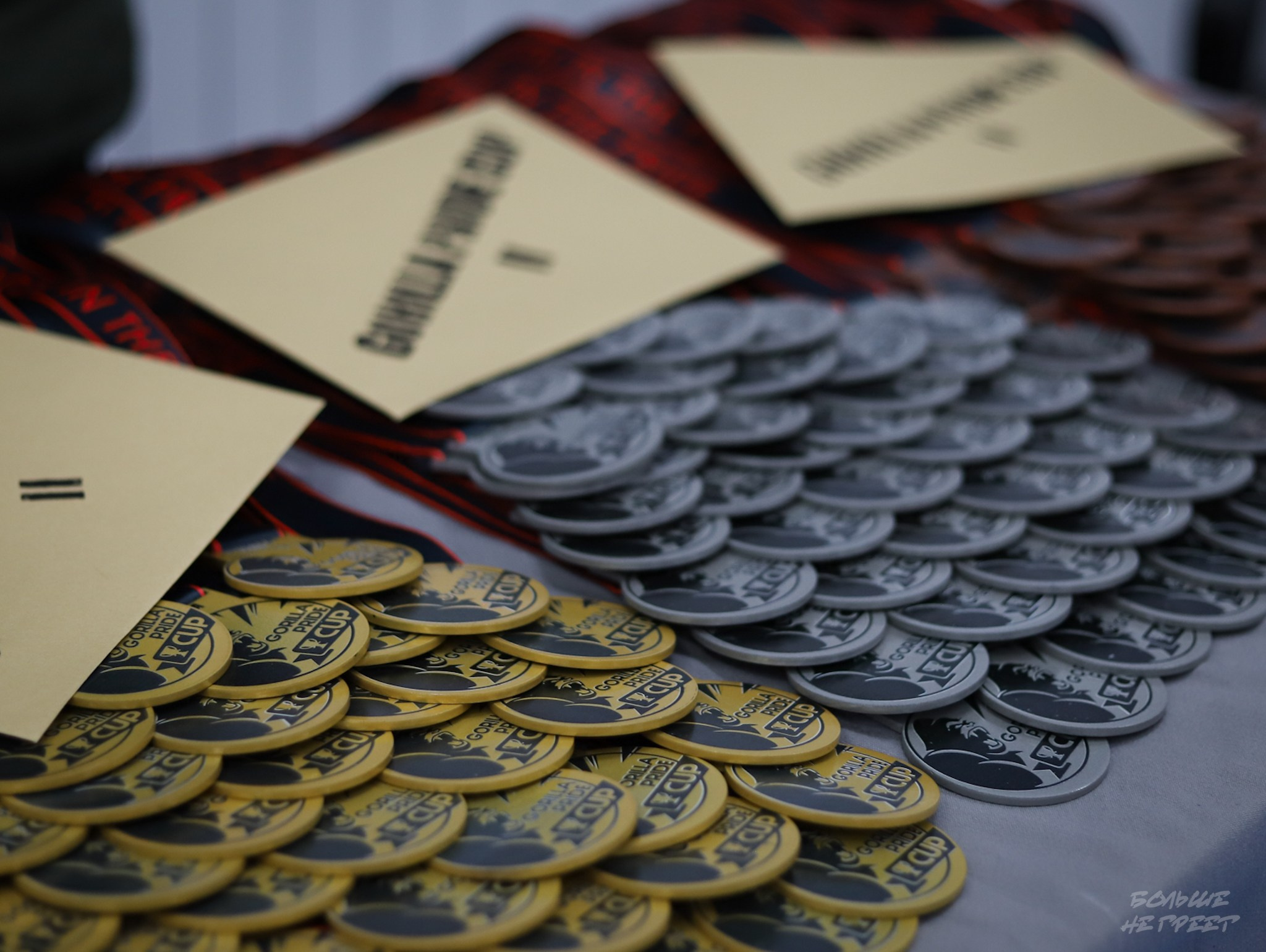 GORILLA PRIDE CUP. Больше не греет