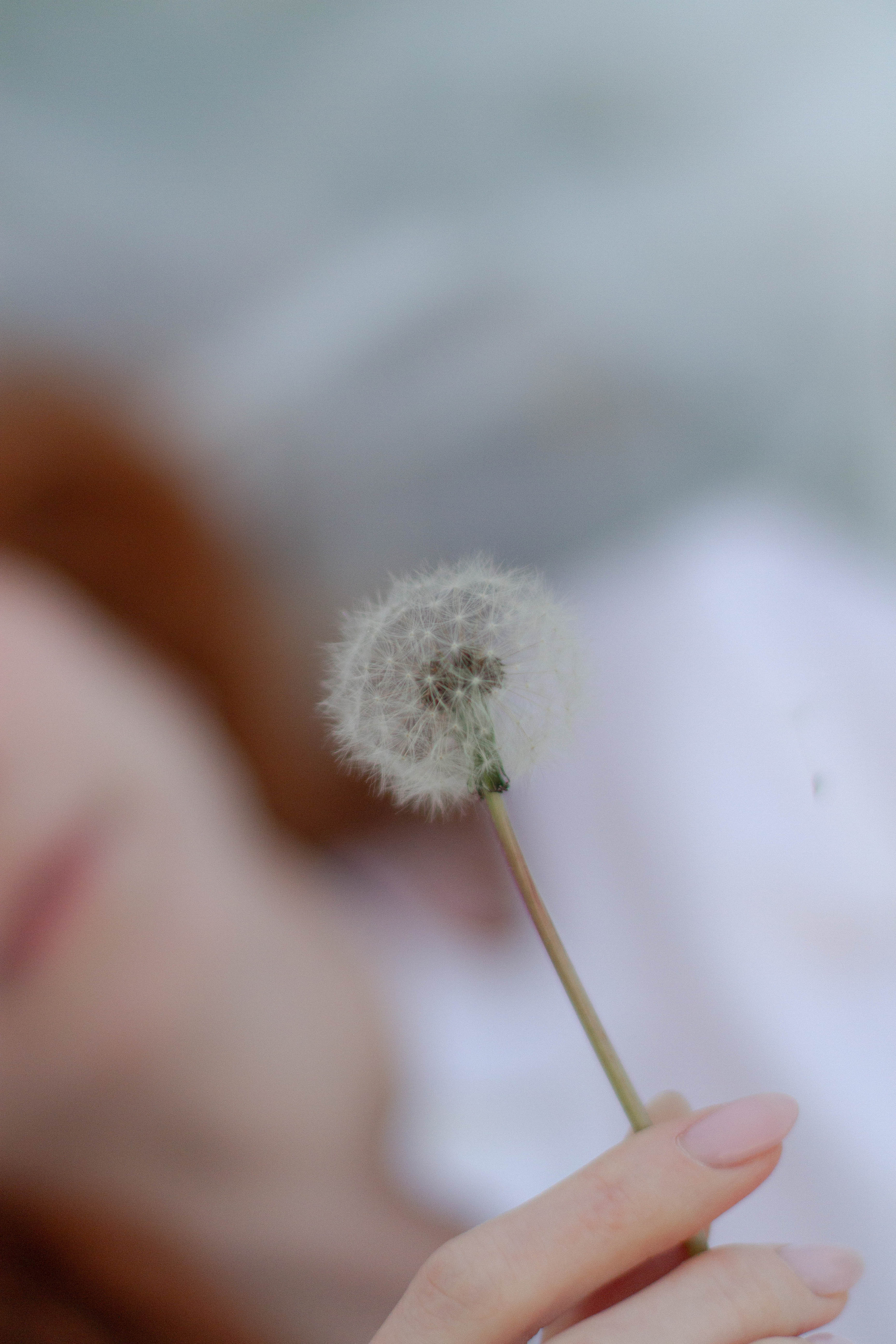 Саша. Фотограф Милованова Александра