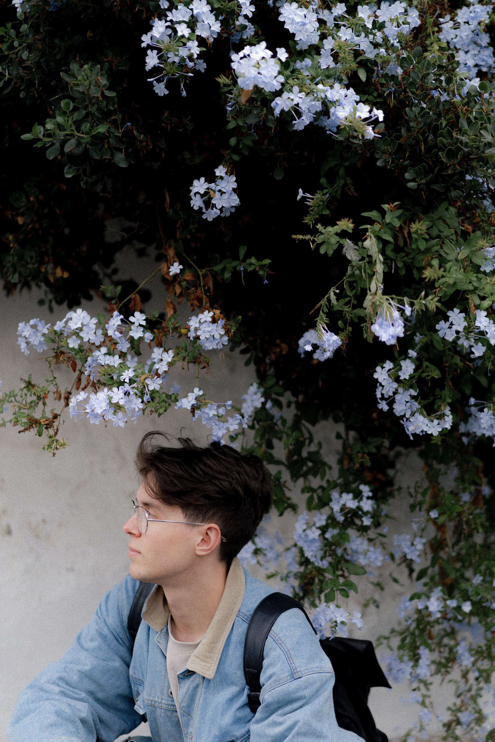 Принцевы острова. Фотограф Милованова Александра