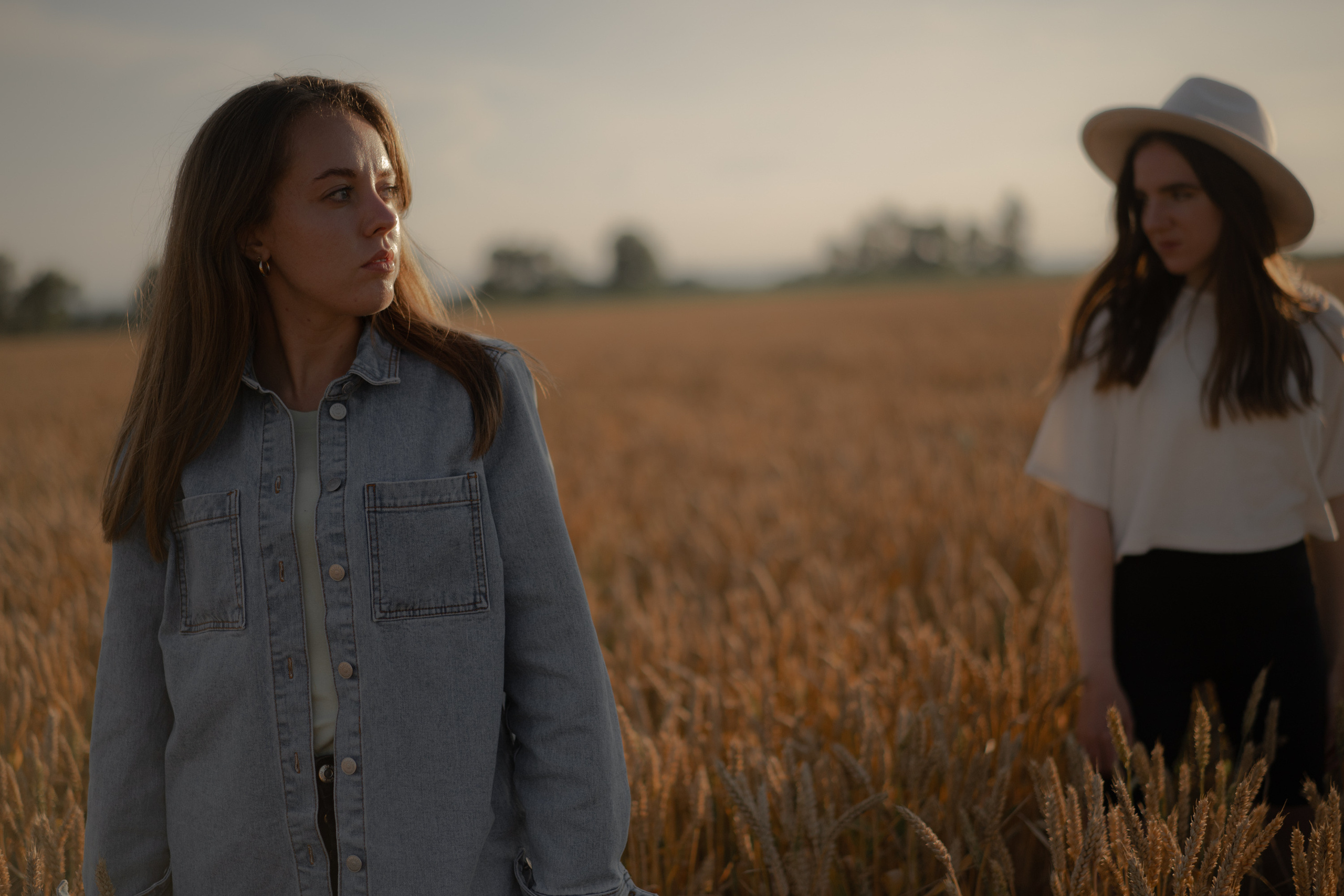 Поле овсянки. Фотограф Милованова Александра