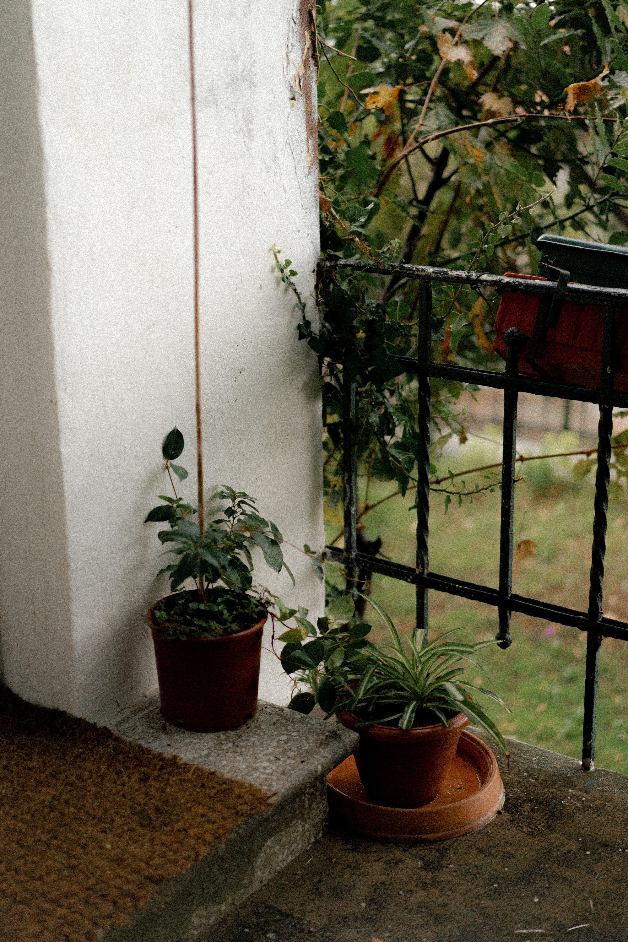 Принцевы острова. Фотограф Милованова Александра