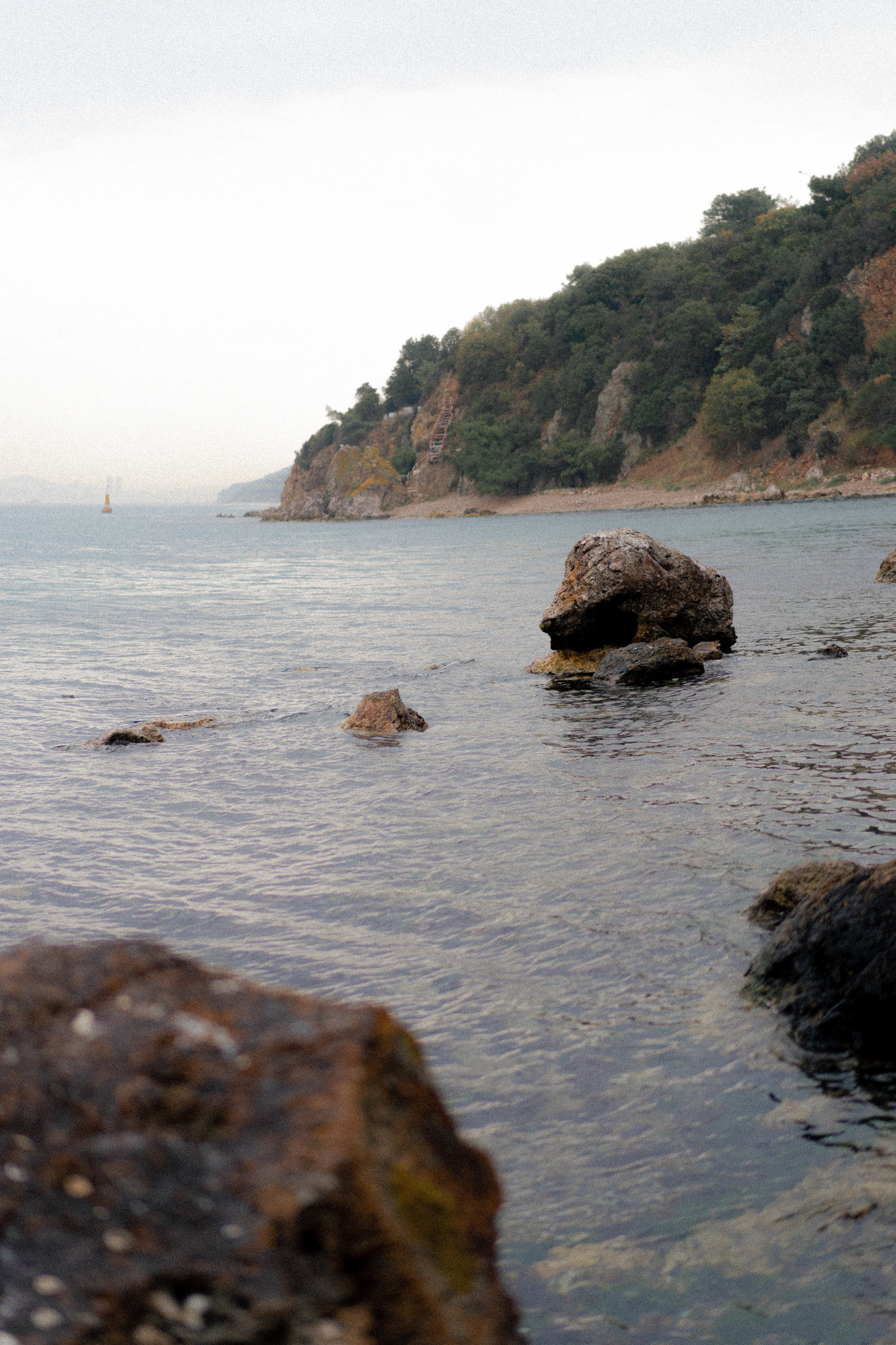 Принцевы острова. Фотограф Милованова Александра