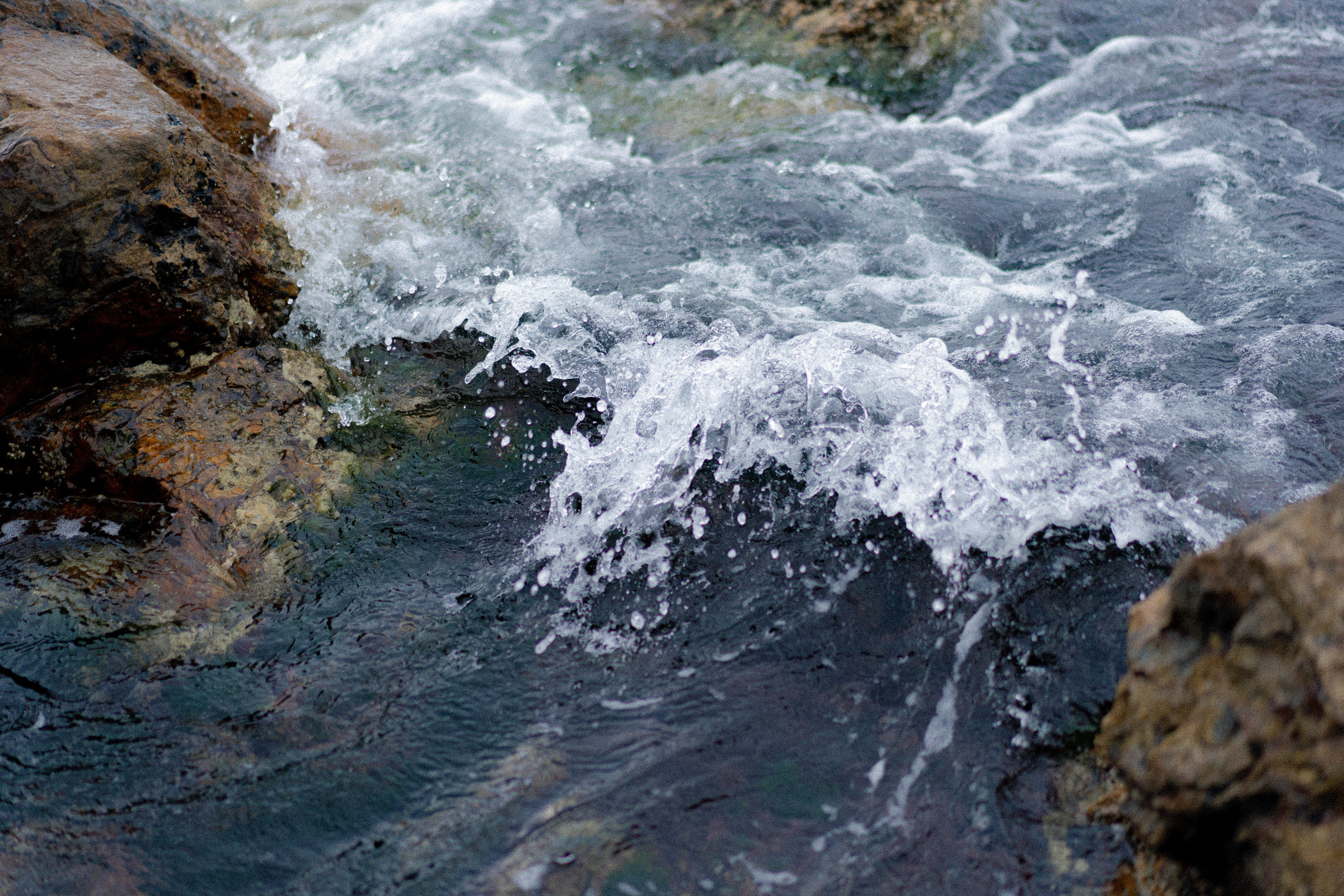 Принцевы острова. Фотограф Милованова Александра