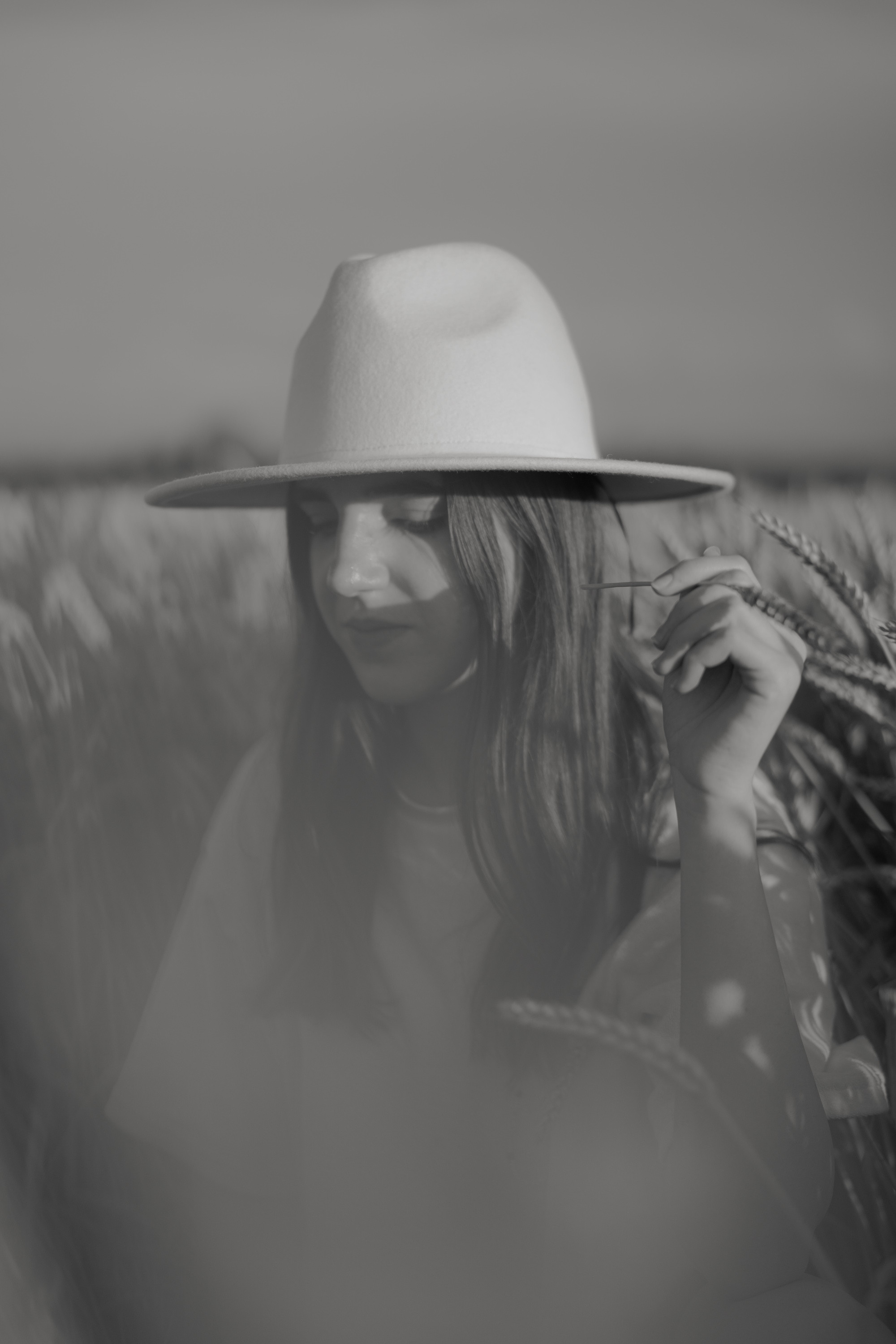 Поле овсянки. Фотограф Милованова Александра