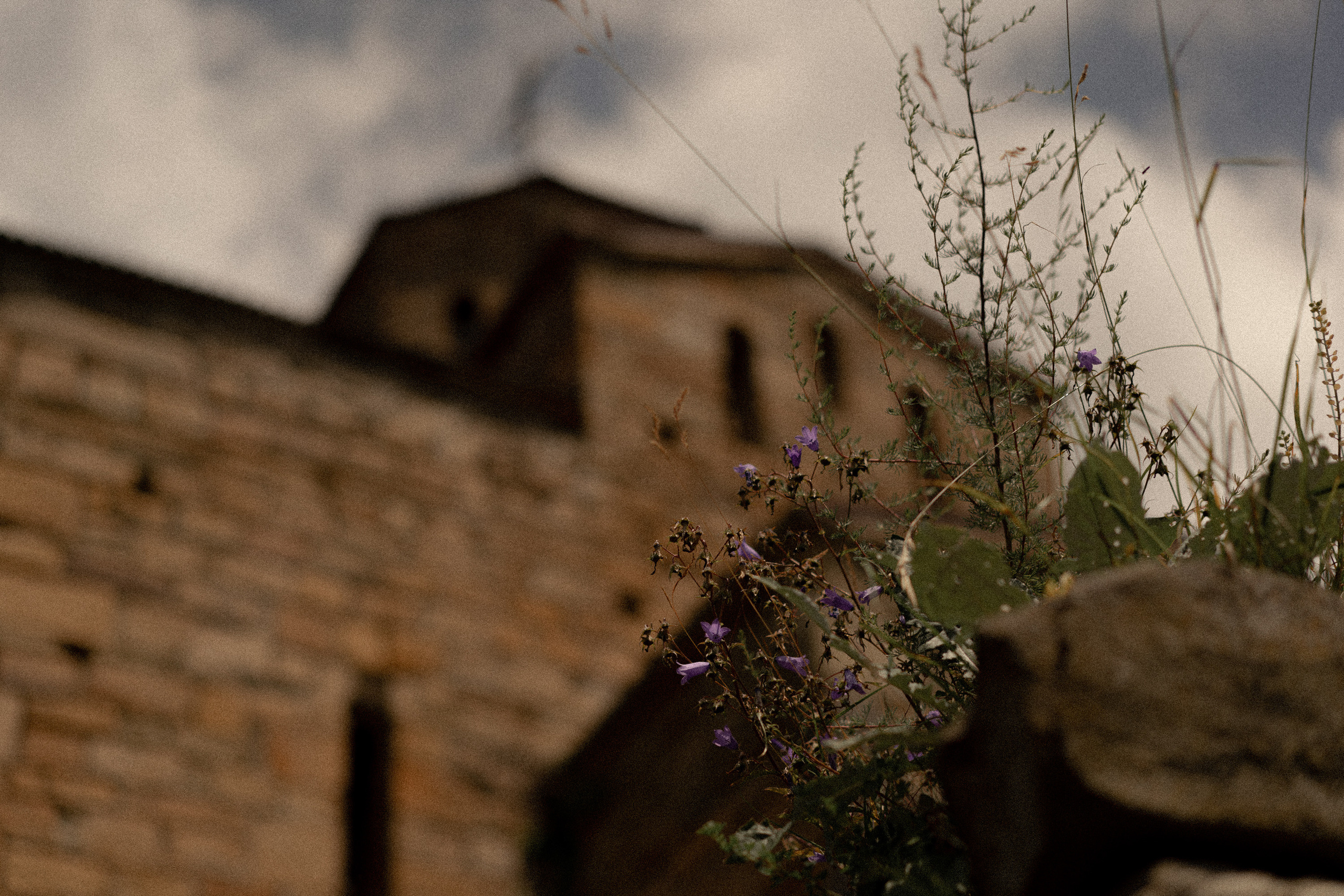 Шоанинский храм. Кавказ. Фотограф Милованова Александра