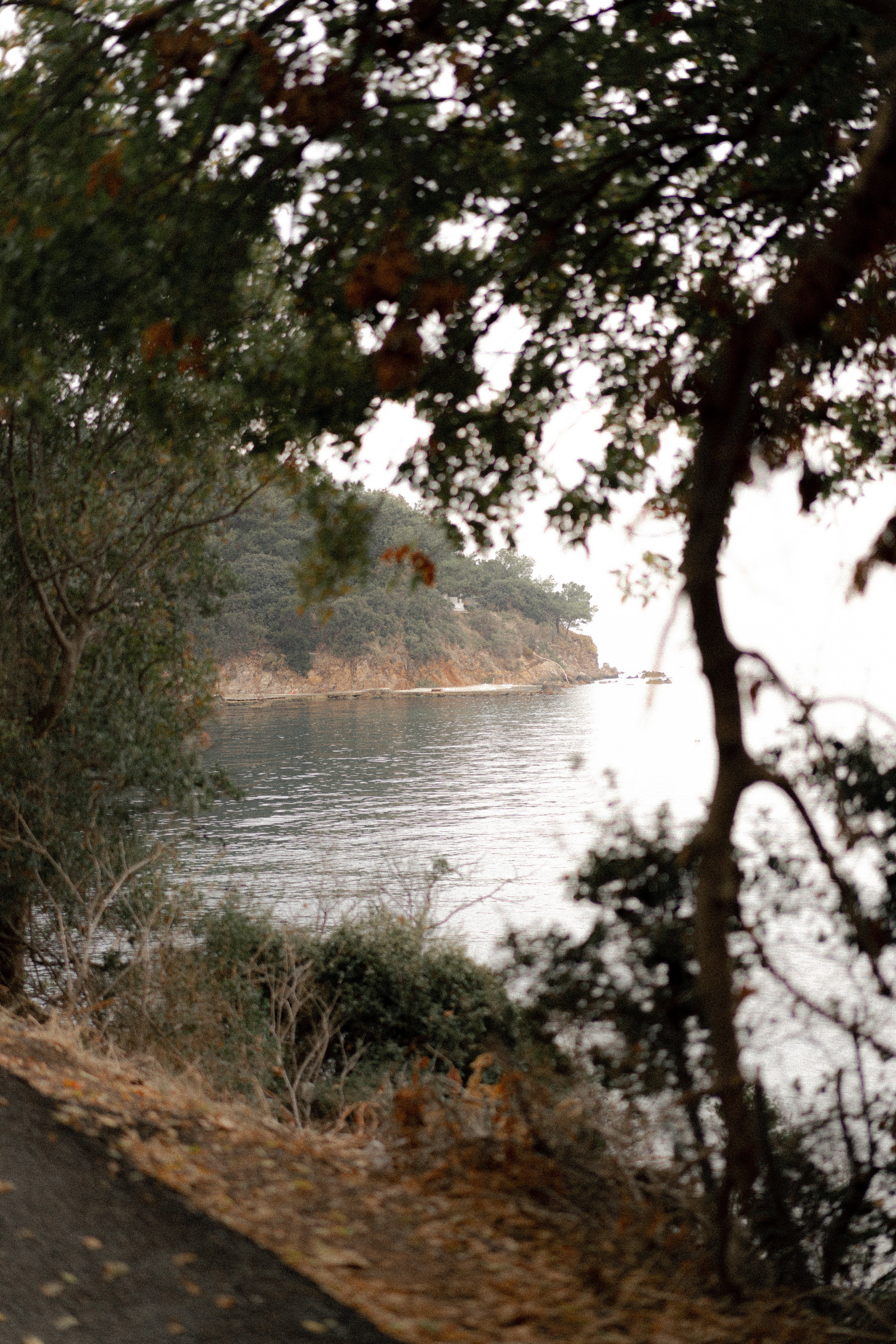 Принцевы острова. Фотограф Милованова Александра