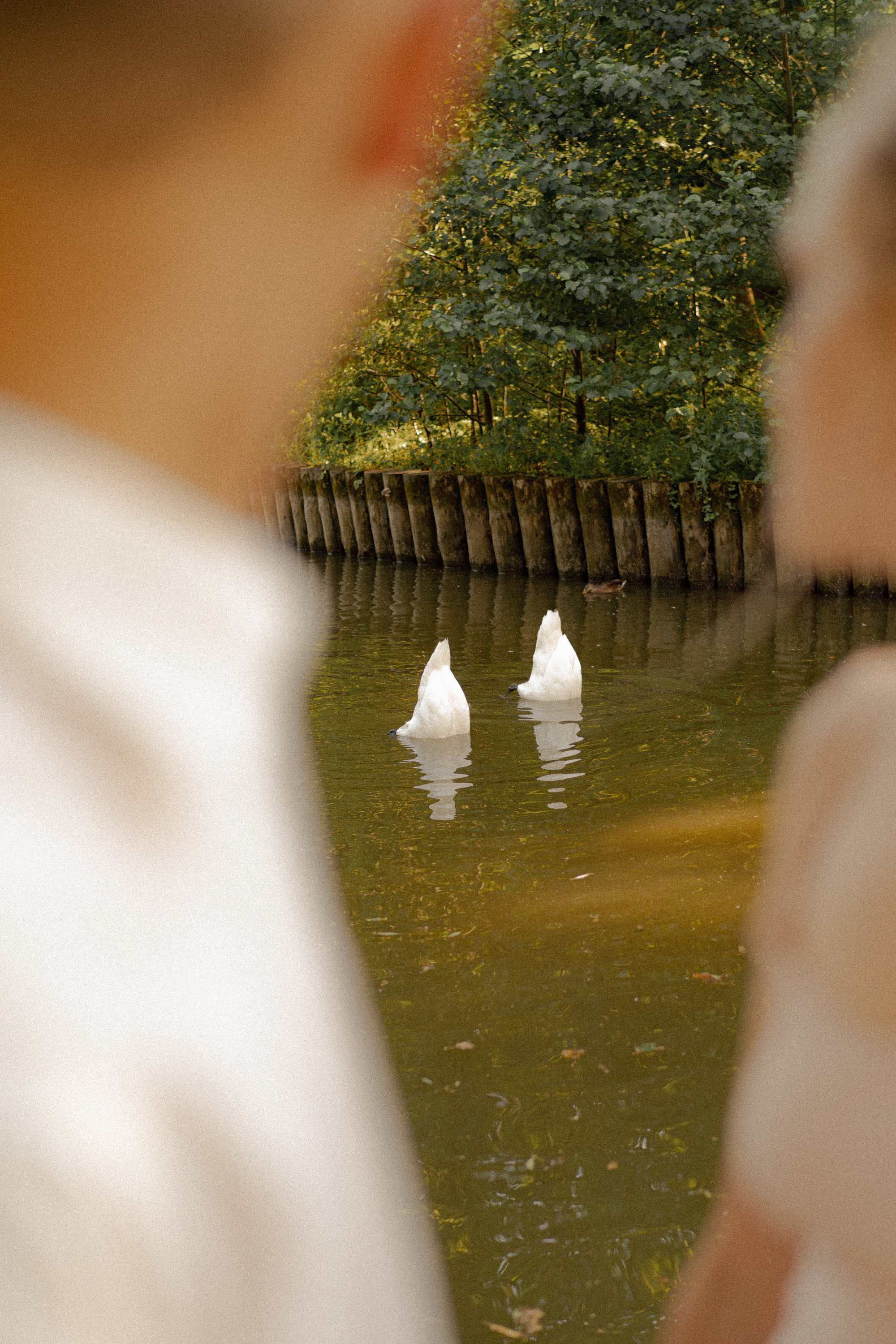 А & A. Фотограф Милованова Александра
