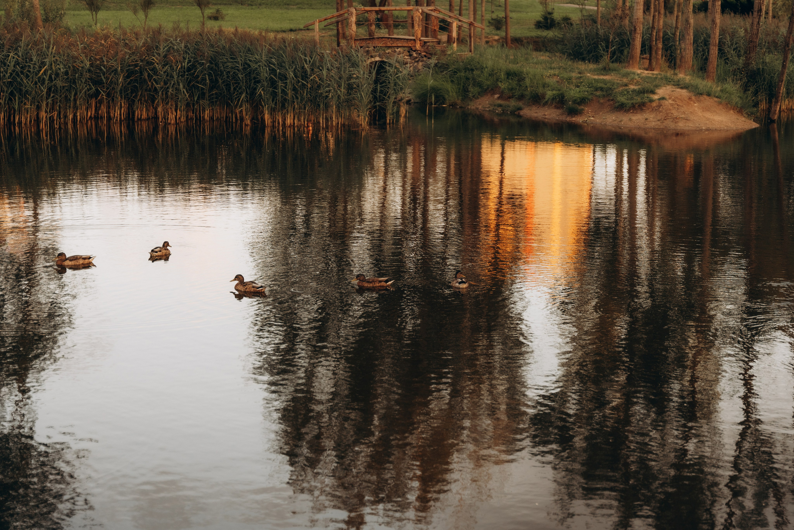 Вика, Ваня и Егорка. Фотограф в Минске — Мария Миллс