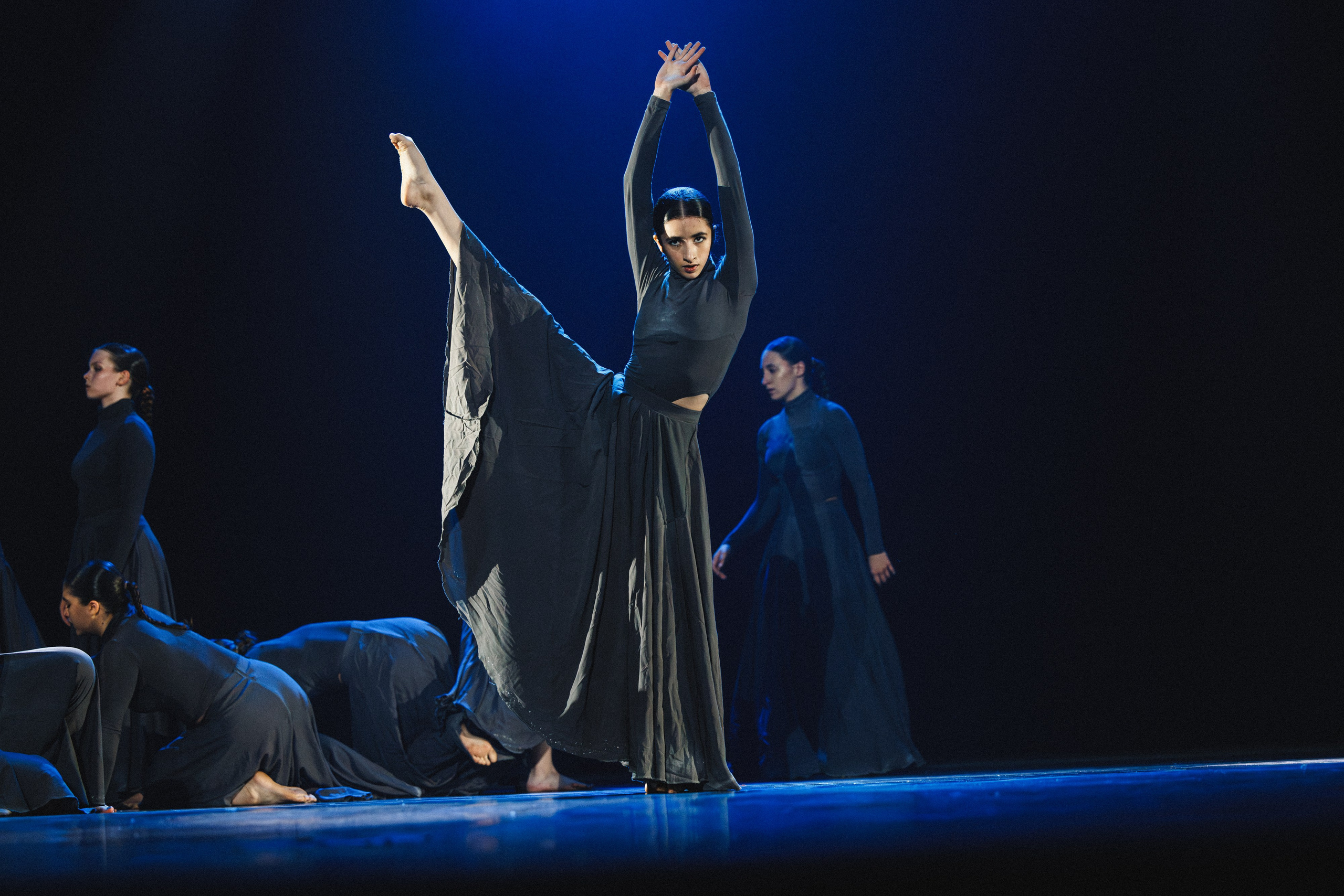 STAGE SHOWS. ProVizArt