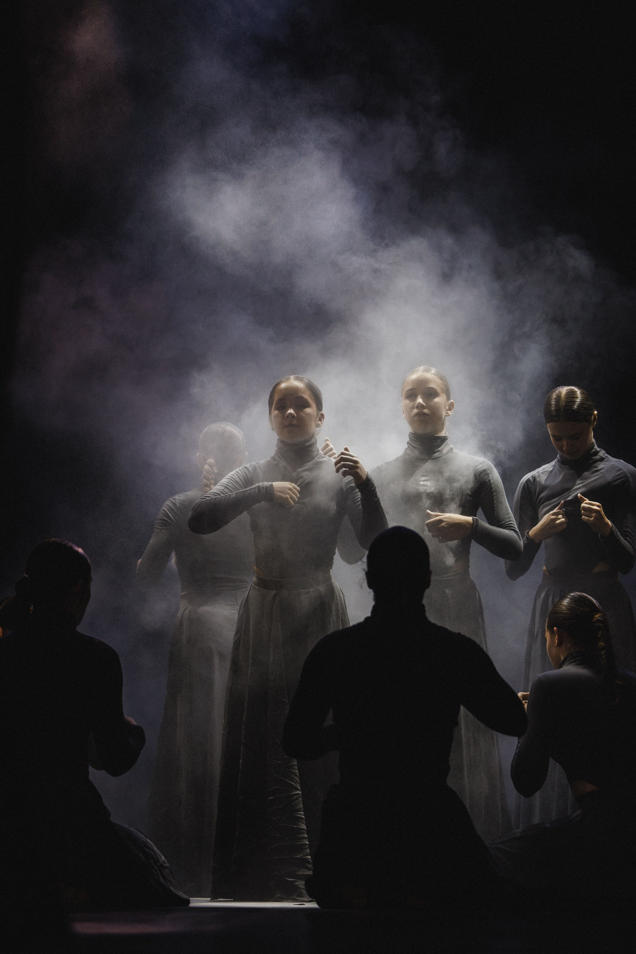 STAGE SHOWS. ProVizArt