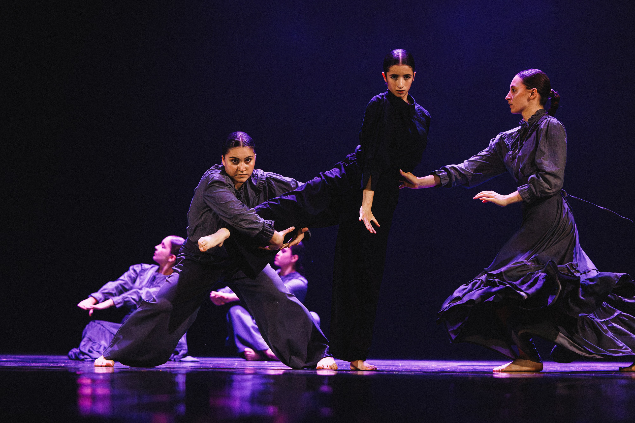 STAGE SHOWS. ProVizArt