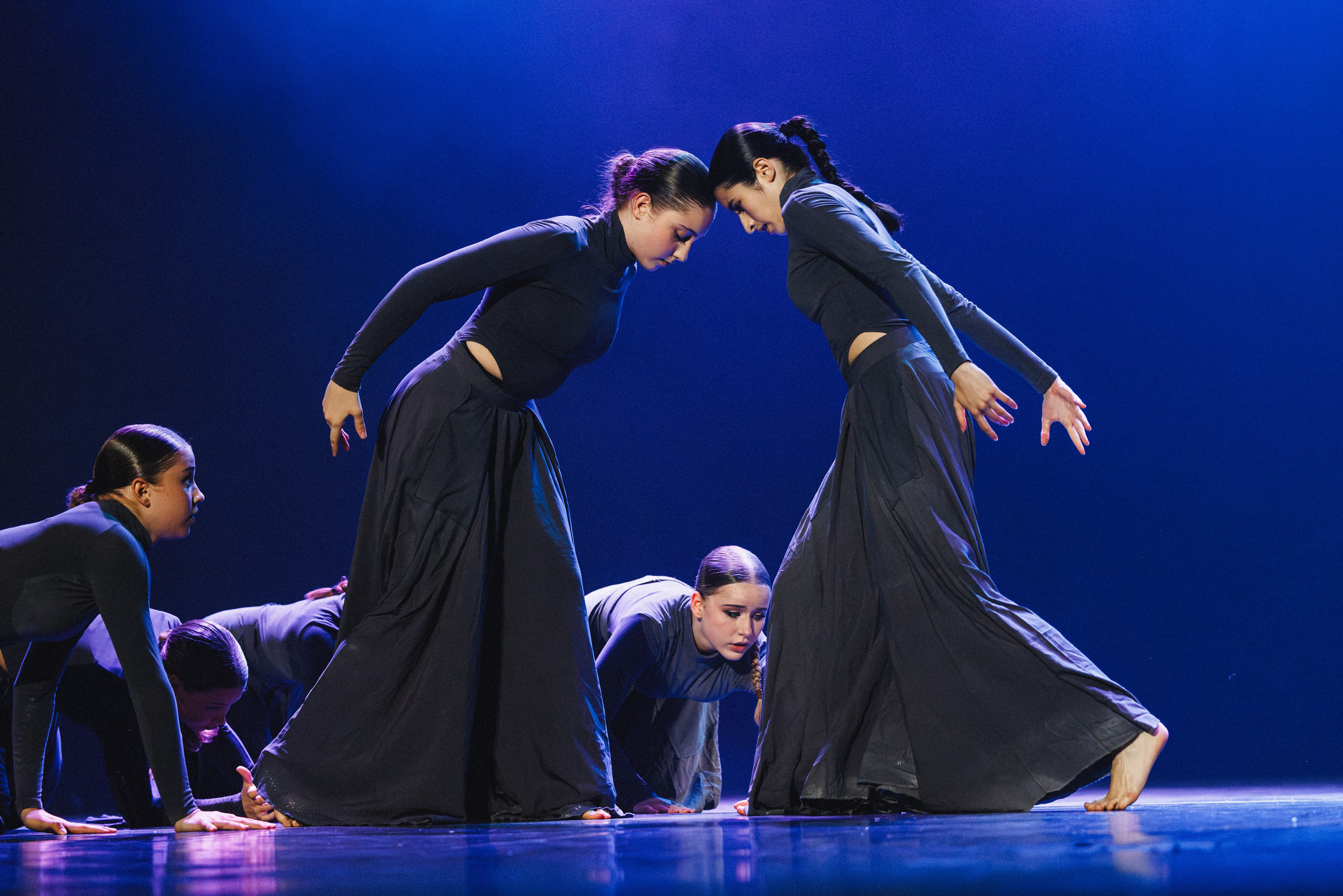 STAGE SHOWS. ProVizArt