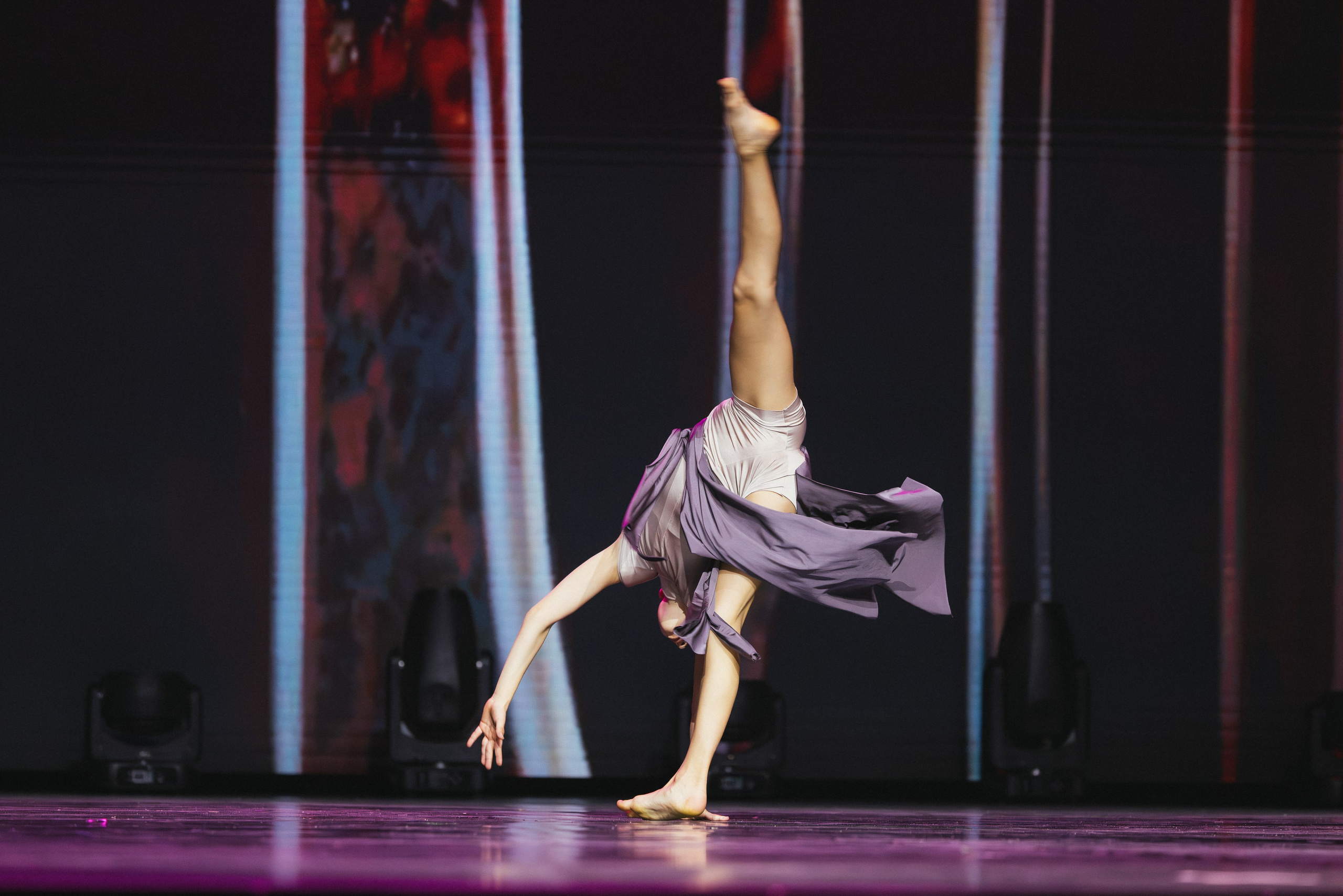 STAGE SHOWS. ProVizArt